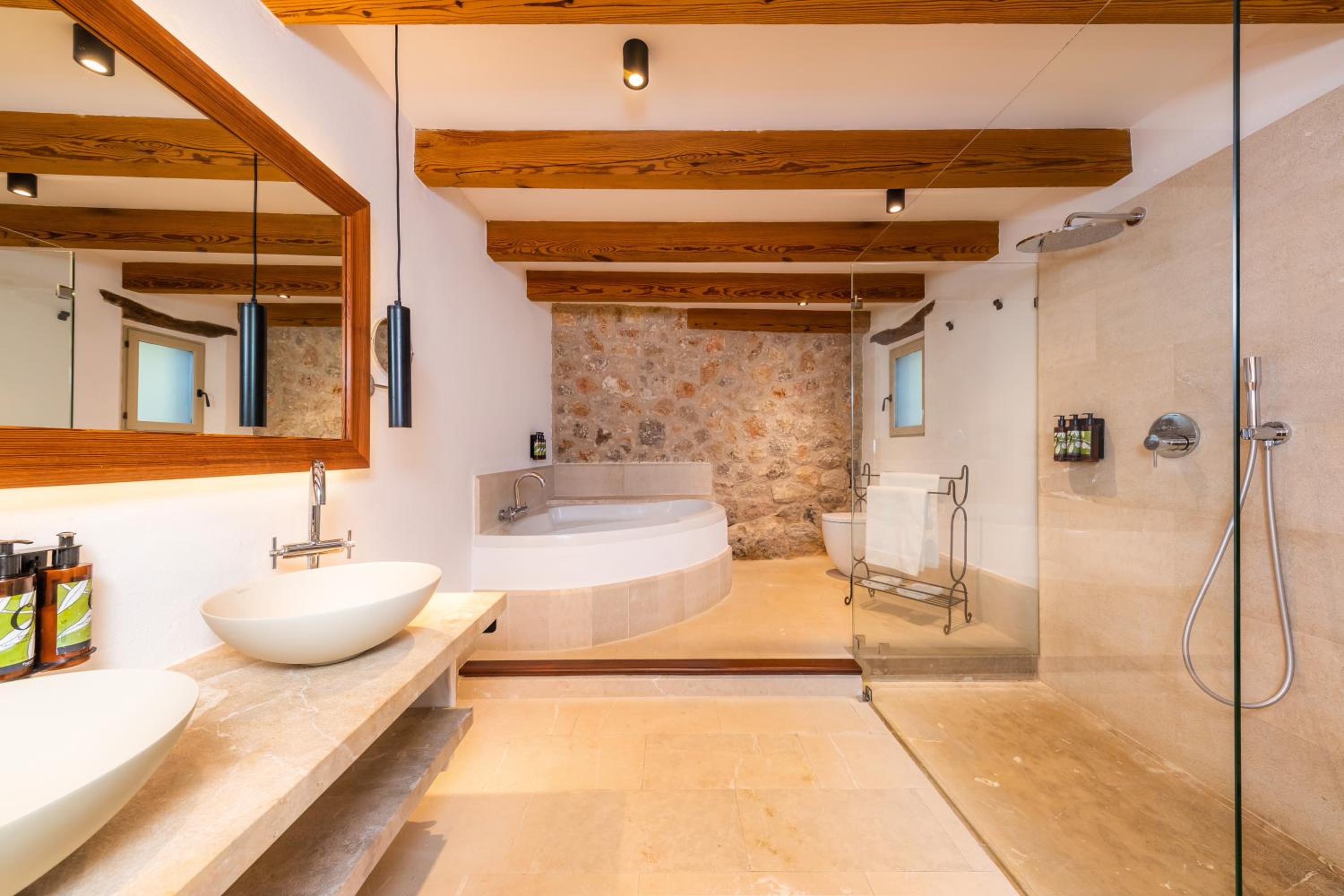 Premium Suite - Photo 8