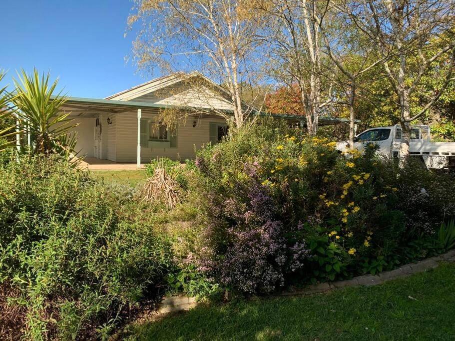 Three-Bedroom House photo 3
