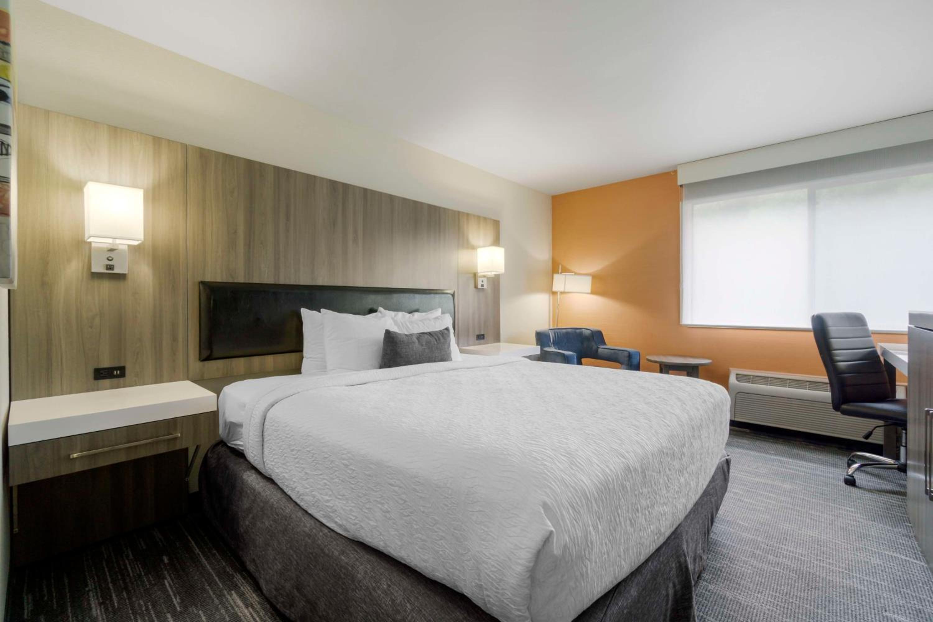 King Room - Non-Smoking - Photo 6