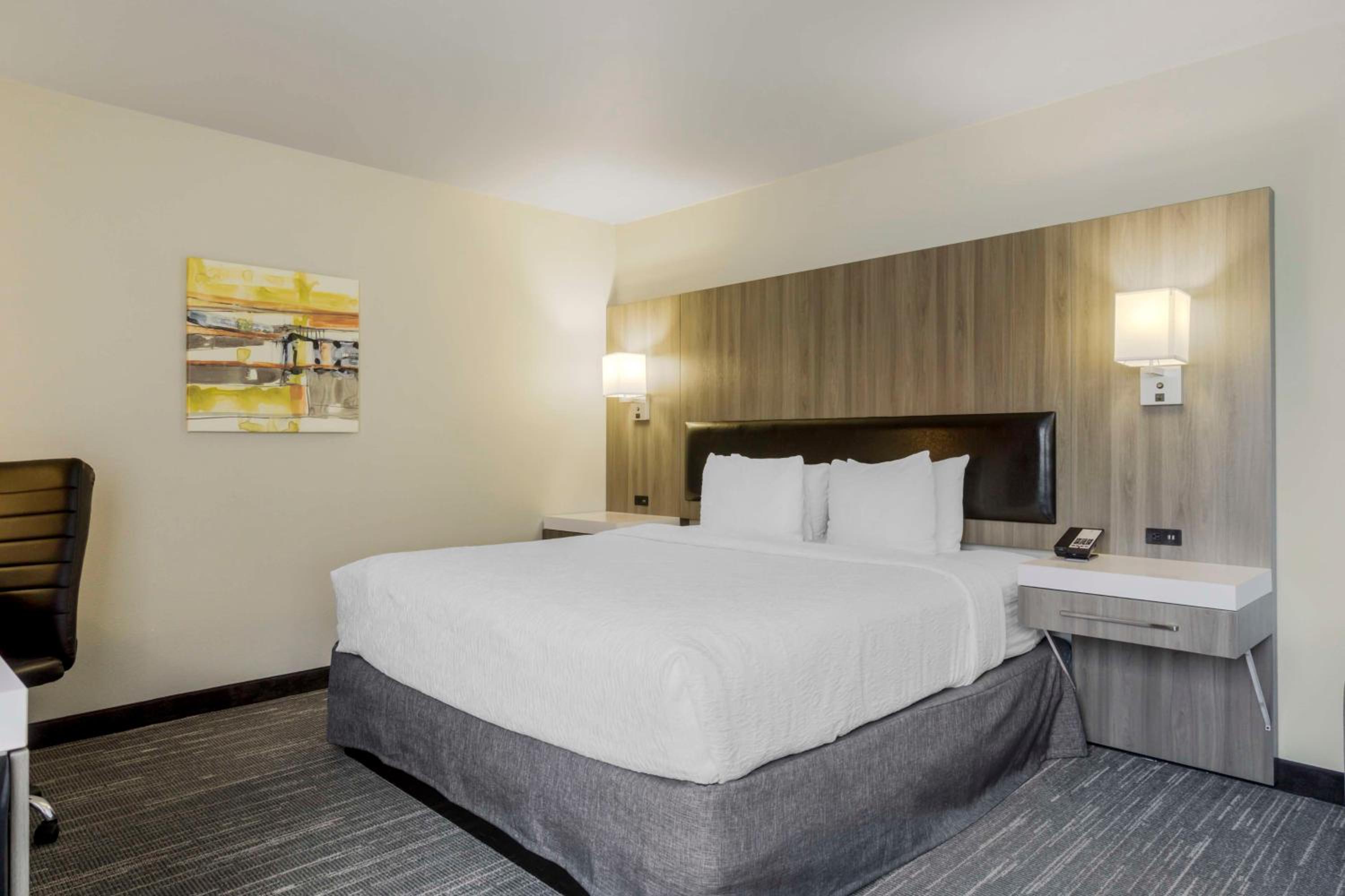 King Room with Wet Bar - Photo 4