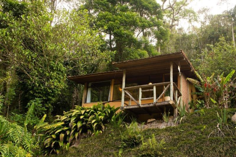 Deluxe Bungalow photo 3