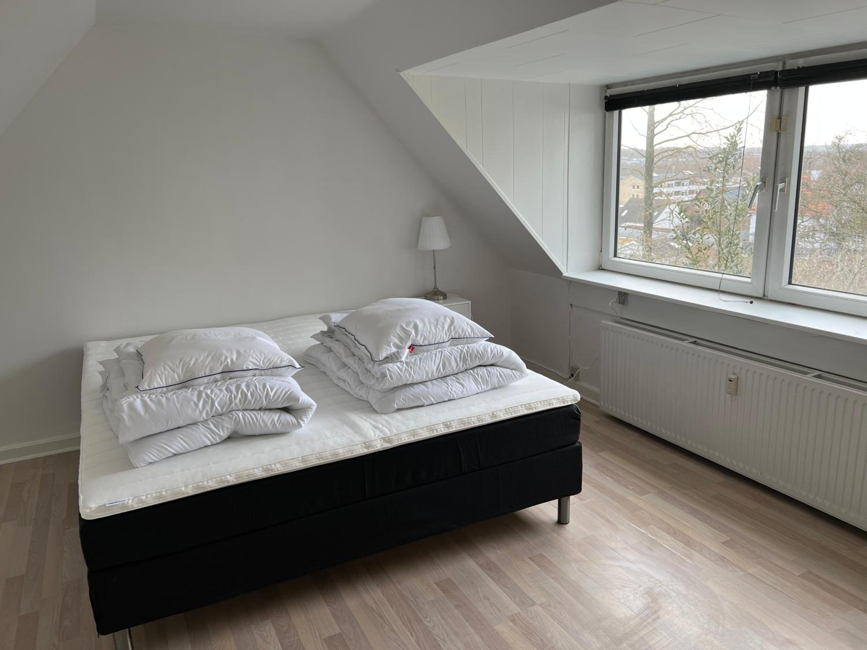 One-Bedroom Apartment photo 3