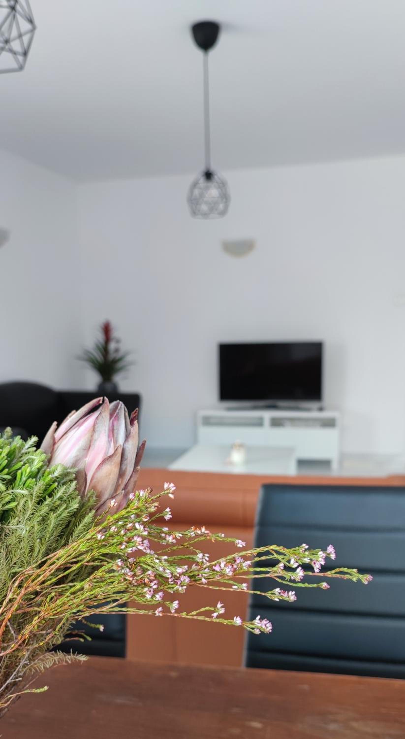 Duplex Apartment photo 2
