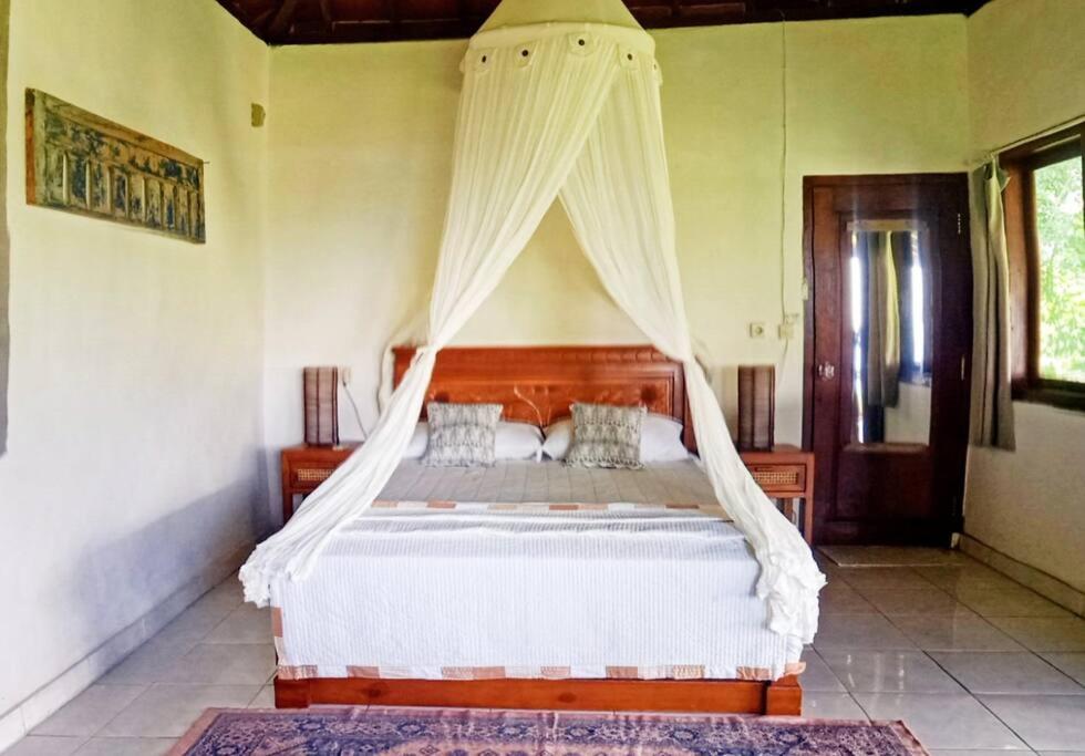 One-Bedroom House photo 1