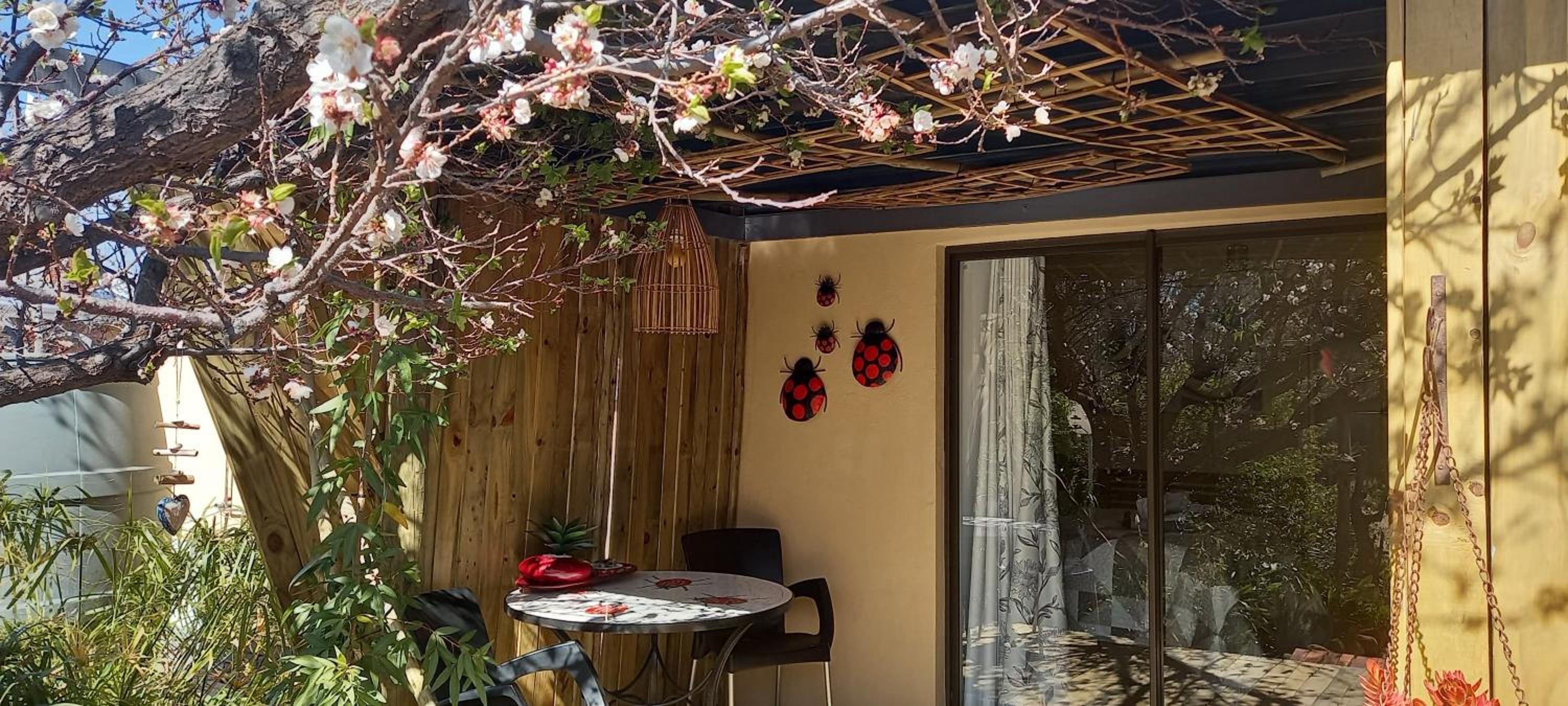 Double Room with Patio - Photo 29