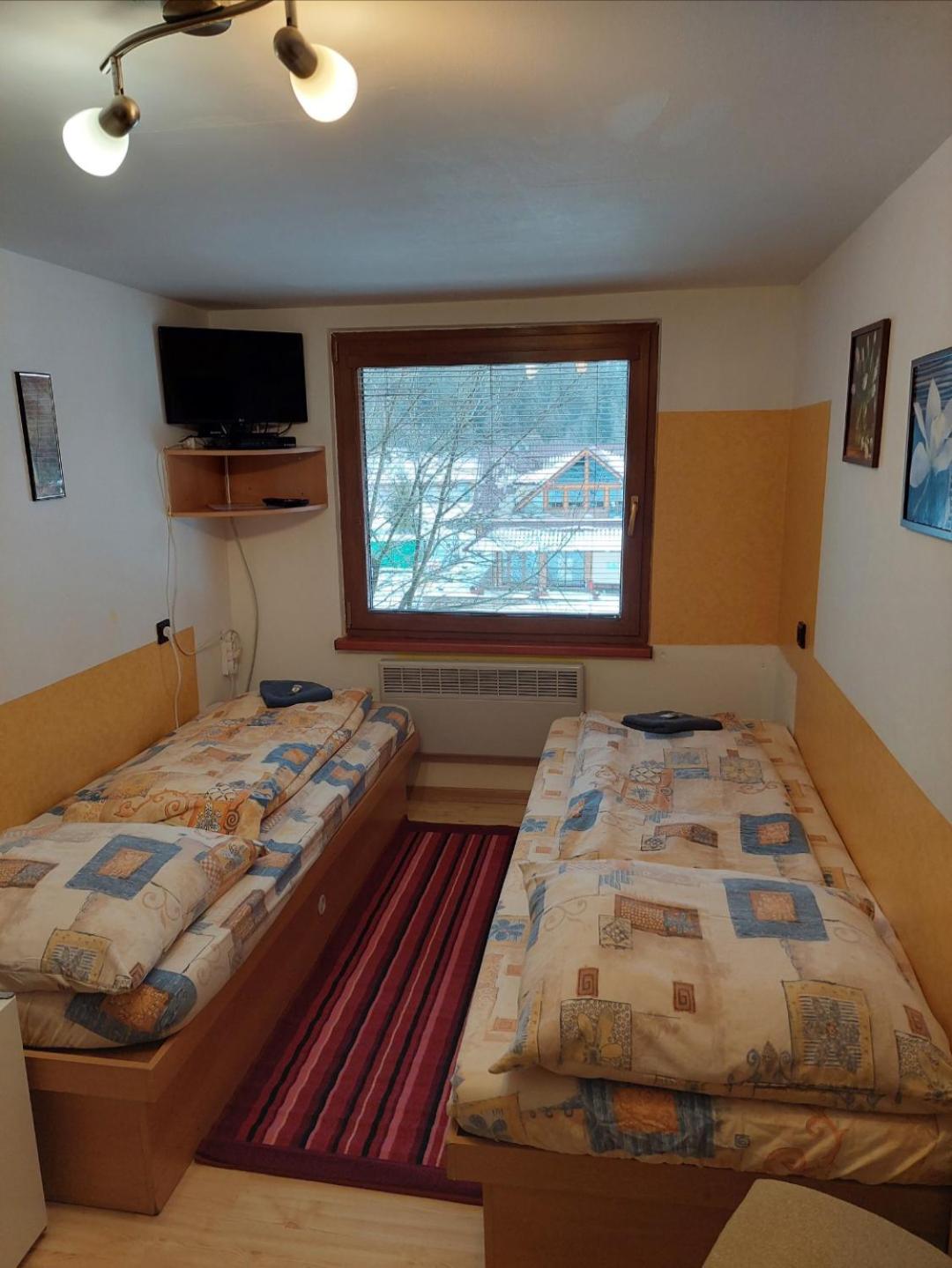 标准双床房