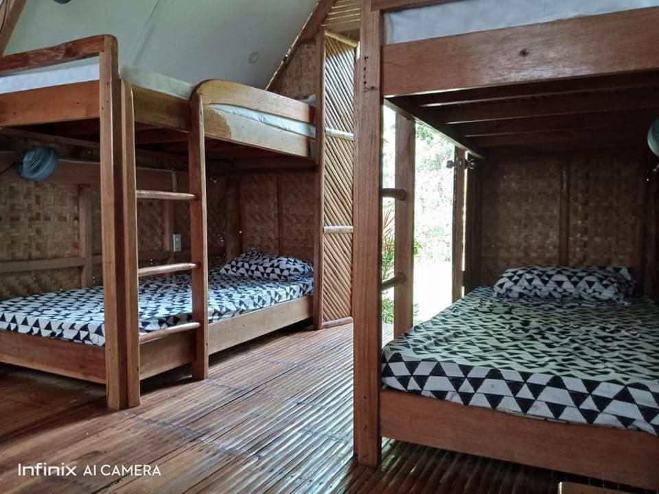 4-Bed Mixed Dormitory Room photo 1