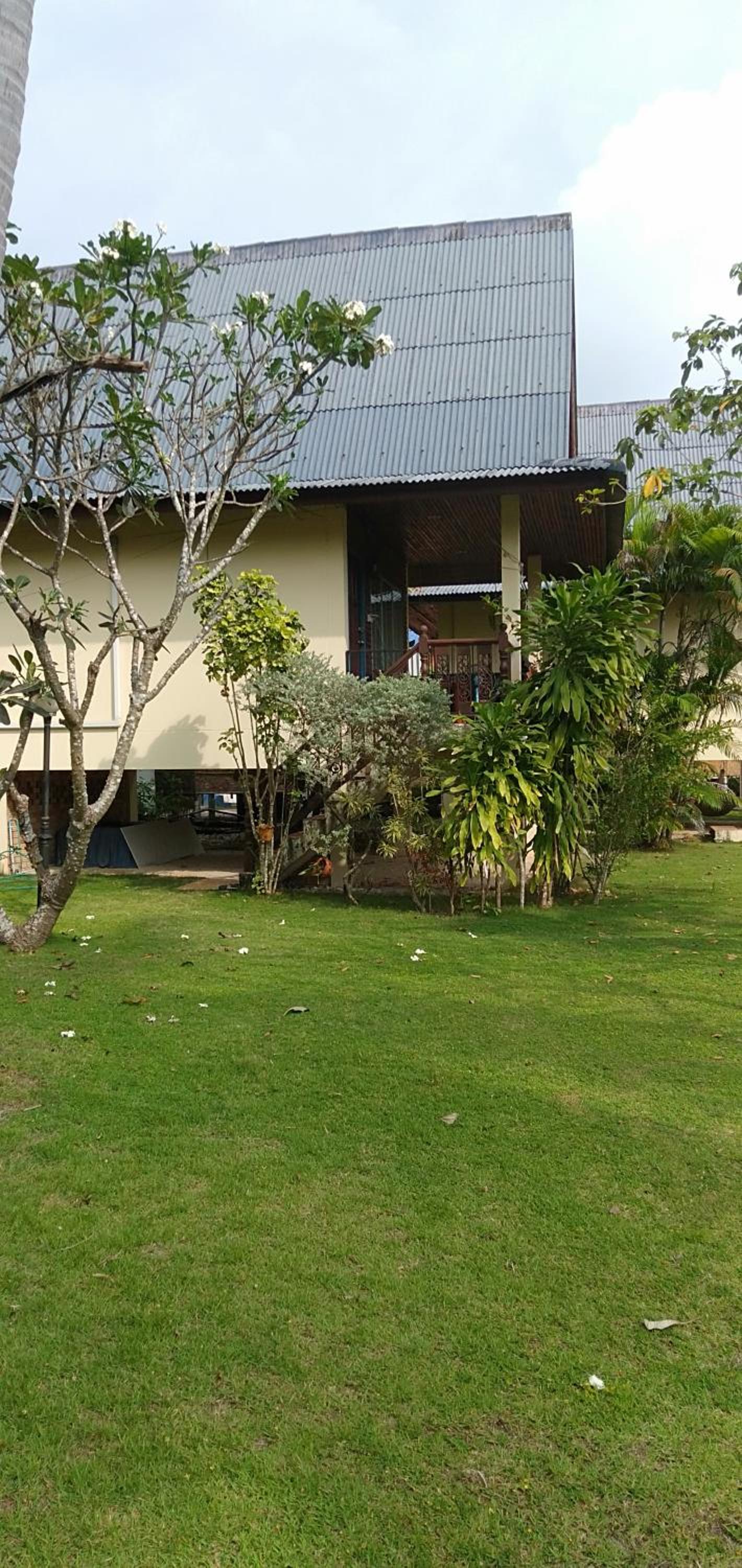 Bungalow with Garden View photo 2