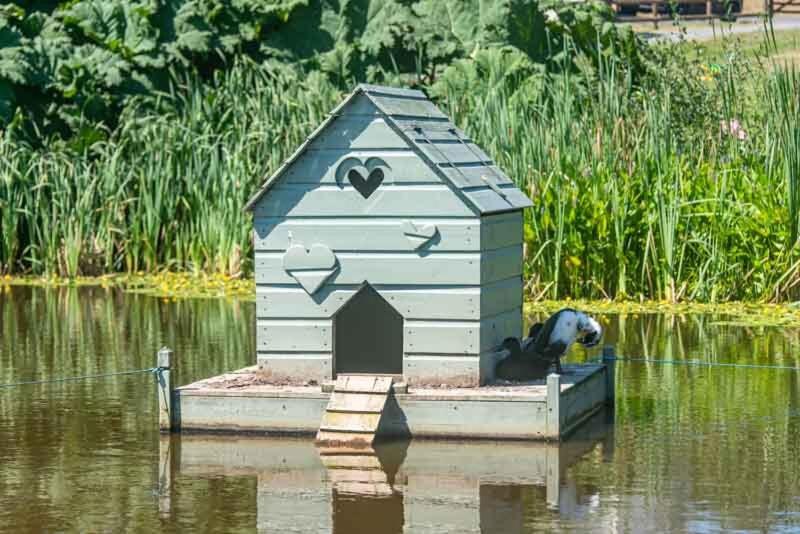 One-Bedroom Cottage - Photo 10