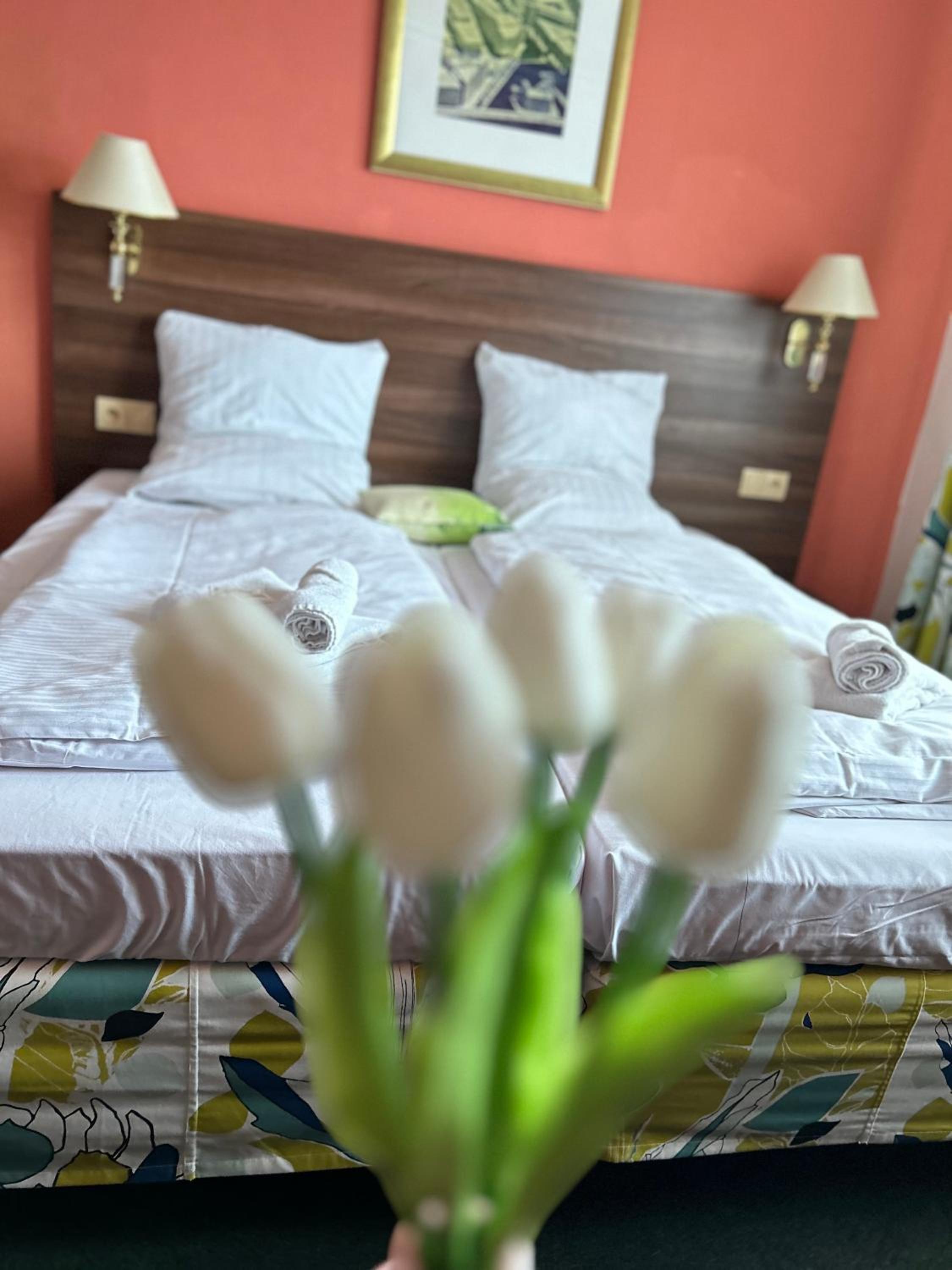 Standard Twin Room photo 1