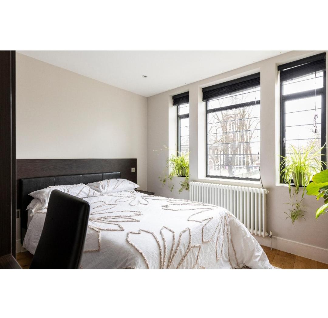 Deluxe King Room photo 1