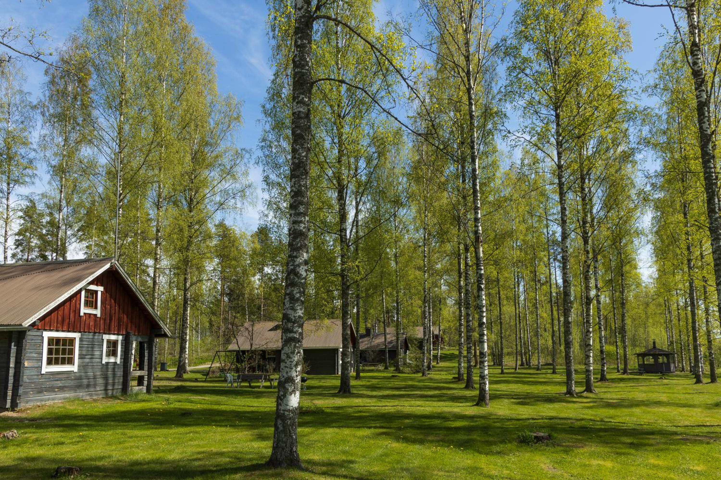 Cottage with Sauna (2 Adults) photo 1