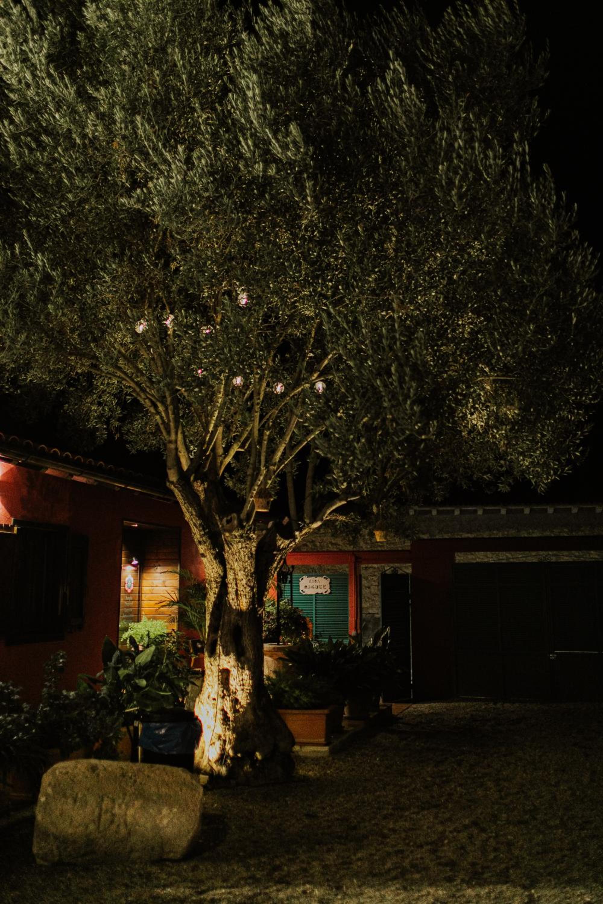 Vacation Home - Photo 57
