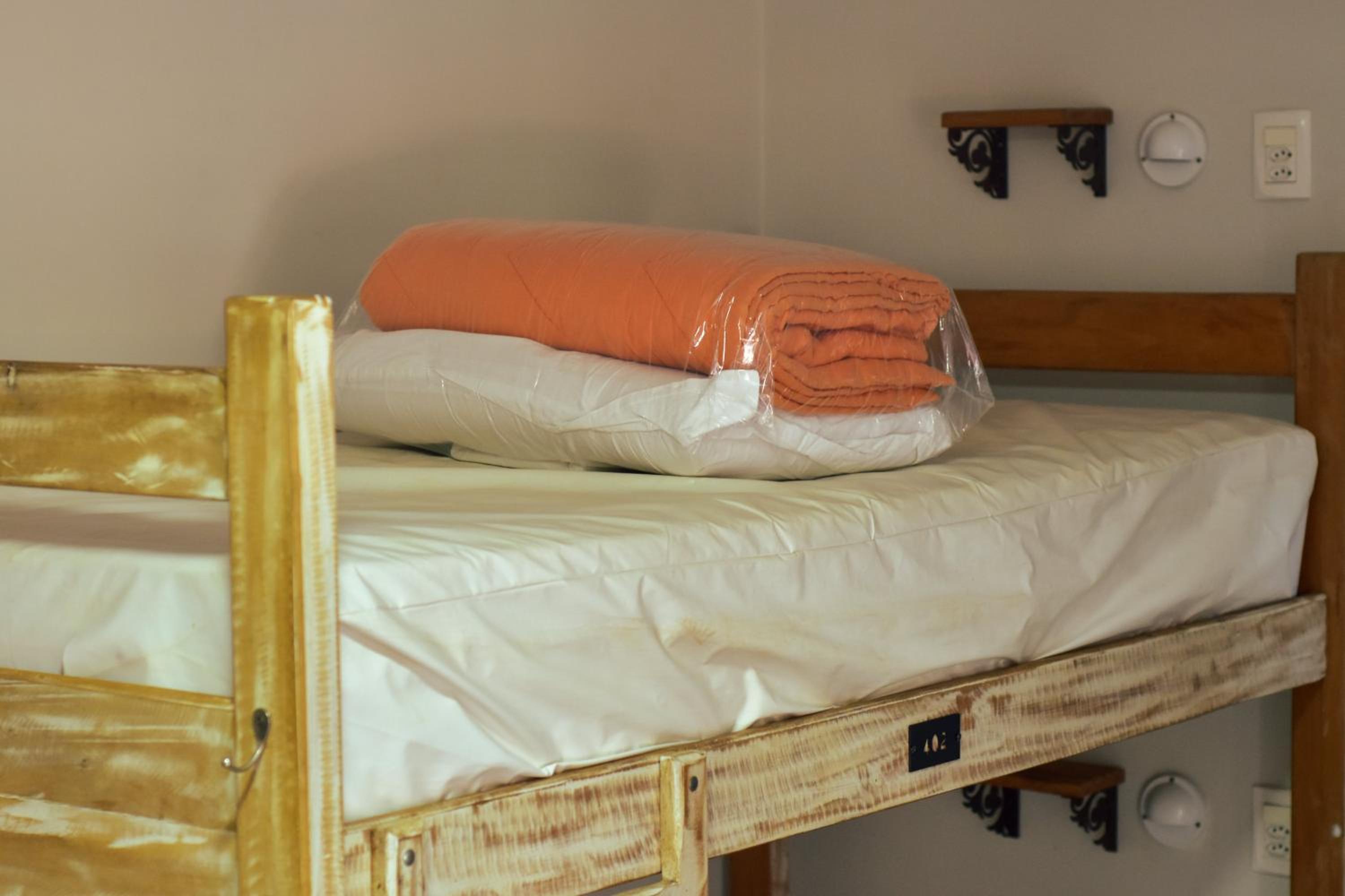 Bunk Bed in Female Dormitory Room photo 1