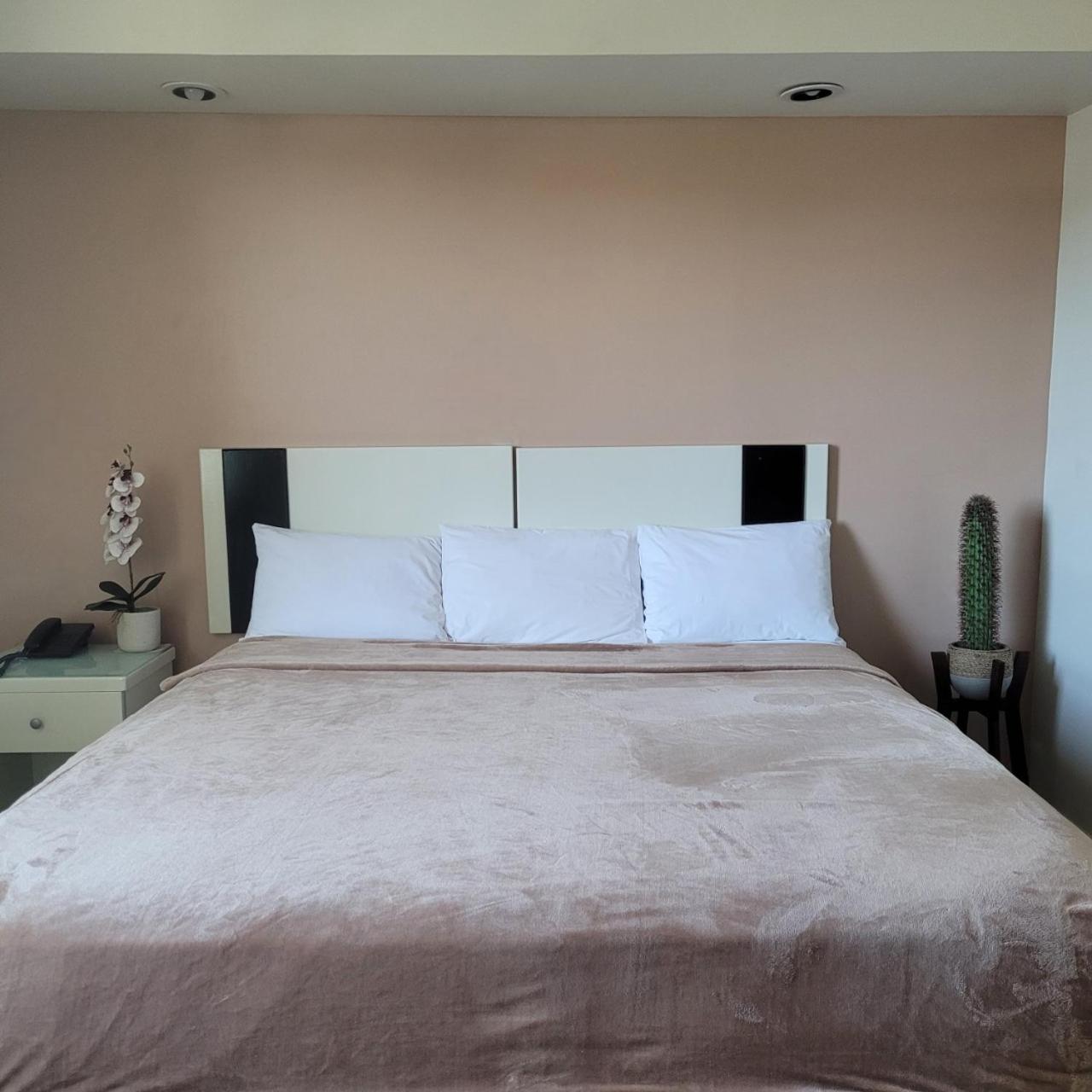 Standard King Room - Photo 9