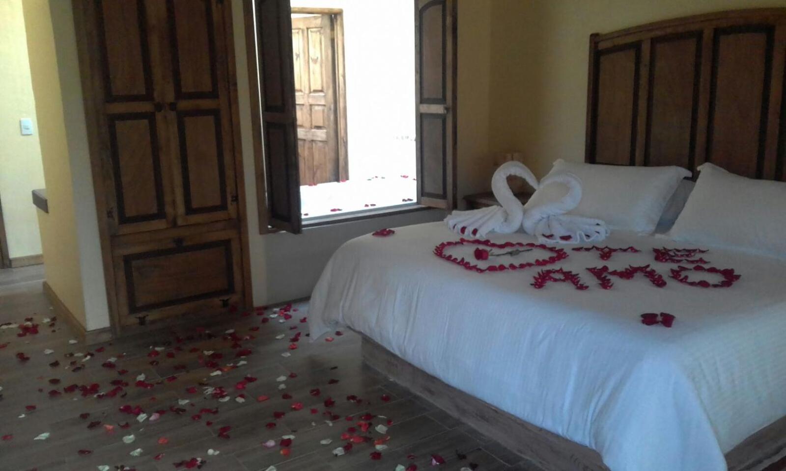 Suite - Photo 1