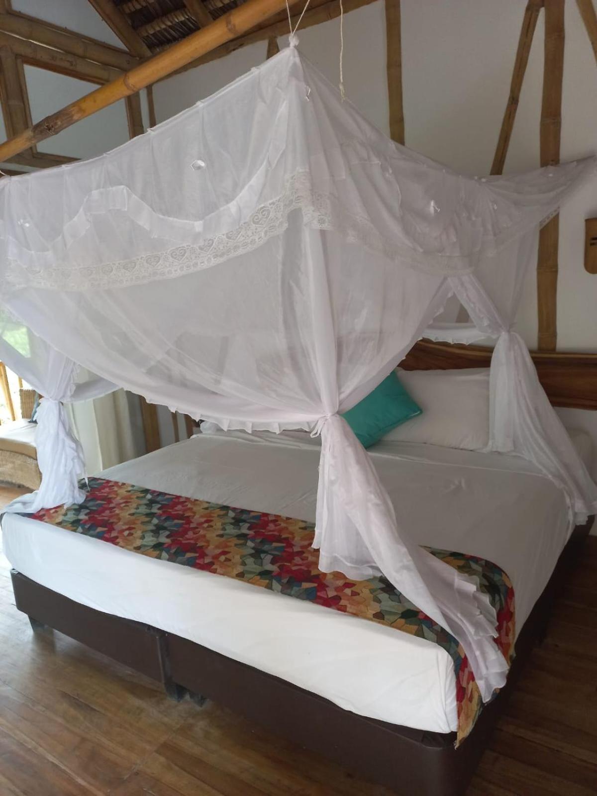 Deluxe Room photo 2