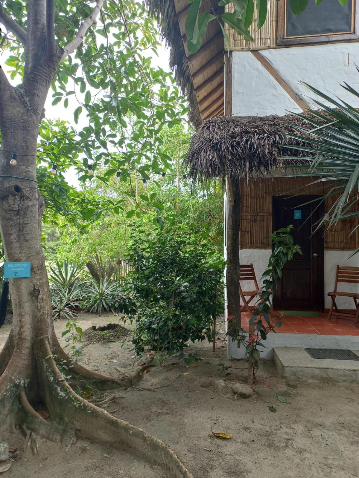 Triple Room with Balcony photo 3