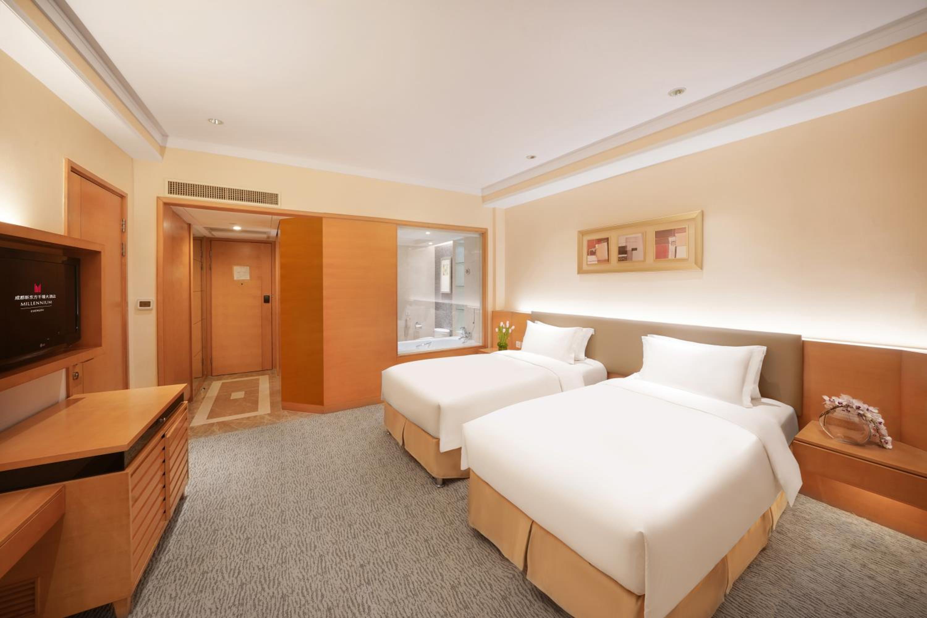 Deluxe Twin Room - Photo 3