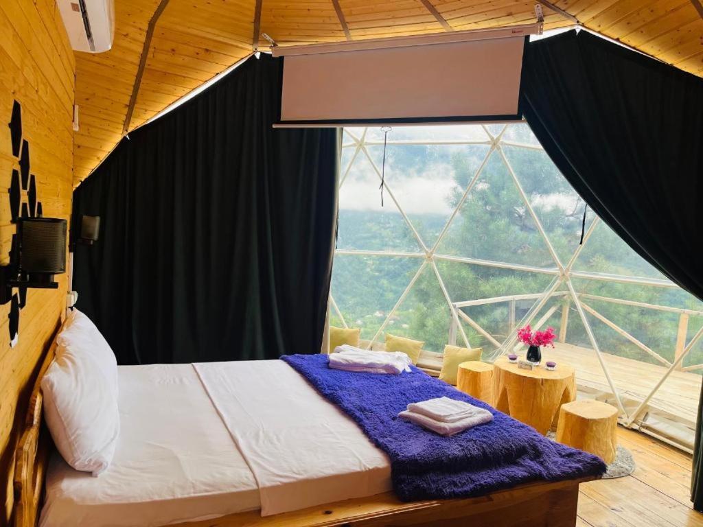 Deluxe Queen Room - Photo 4