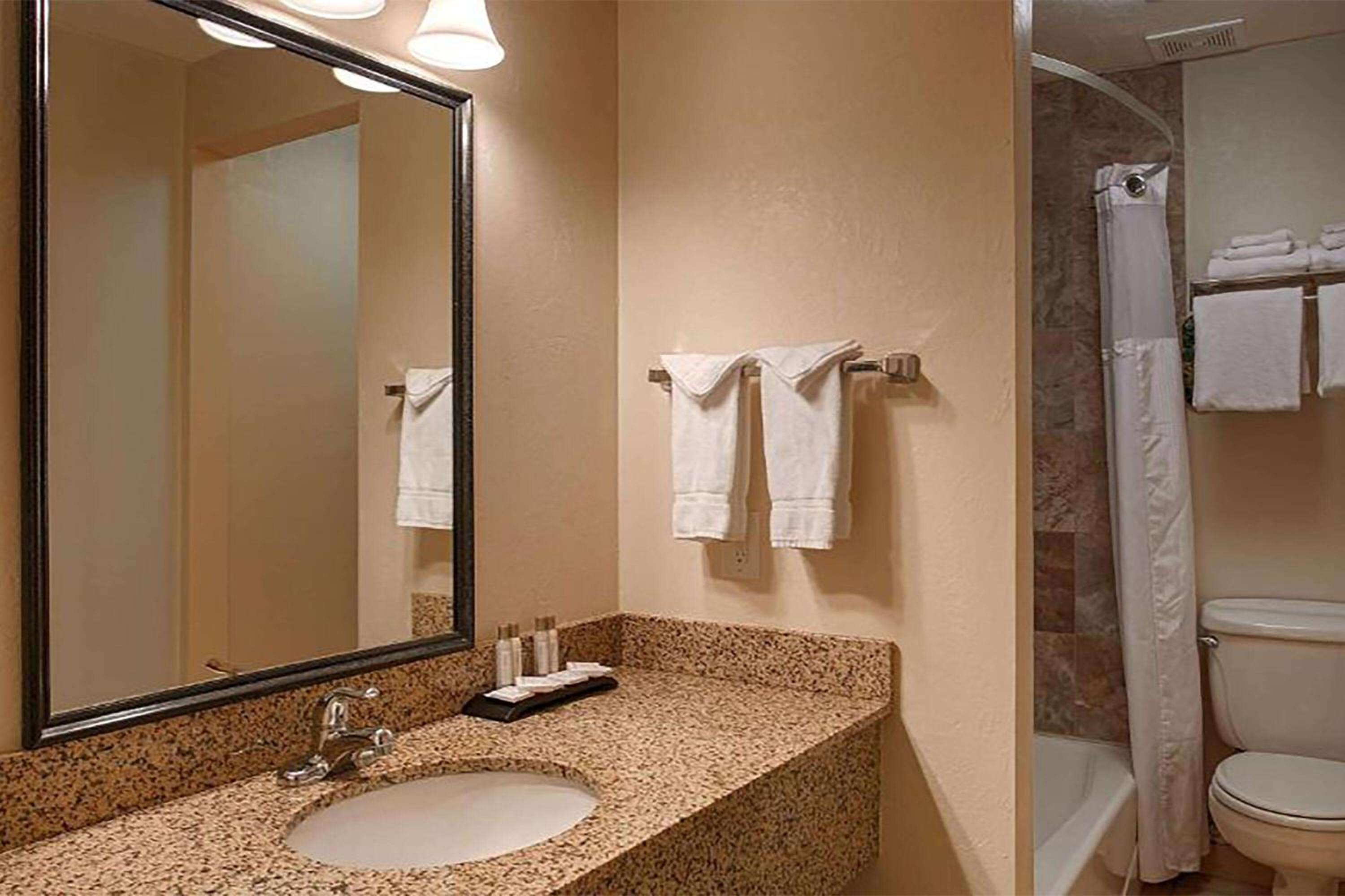 Deluxe King Suite - Non-Smoking - Photo 2