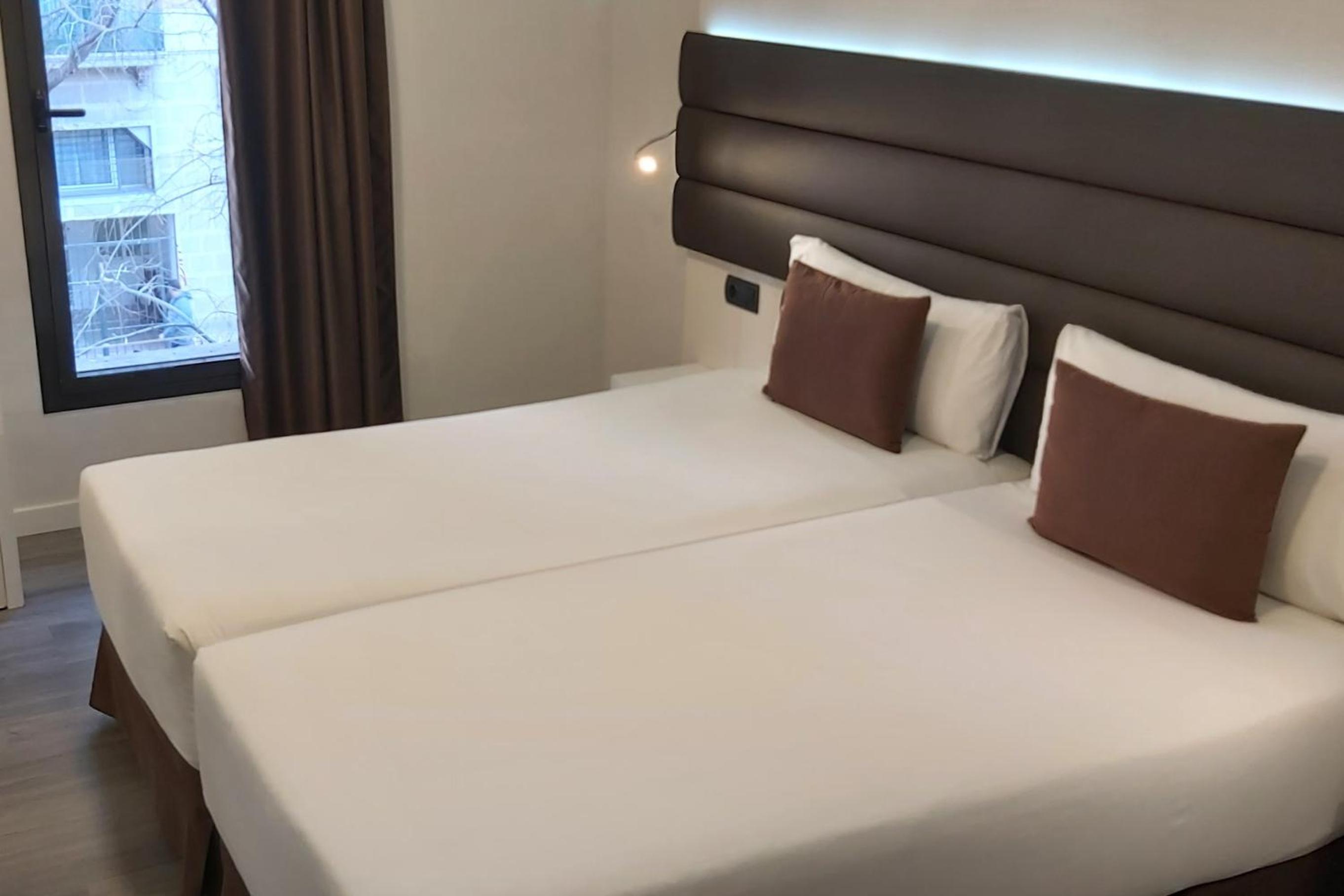Twin Room photo 2