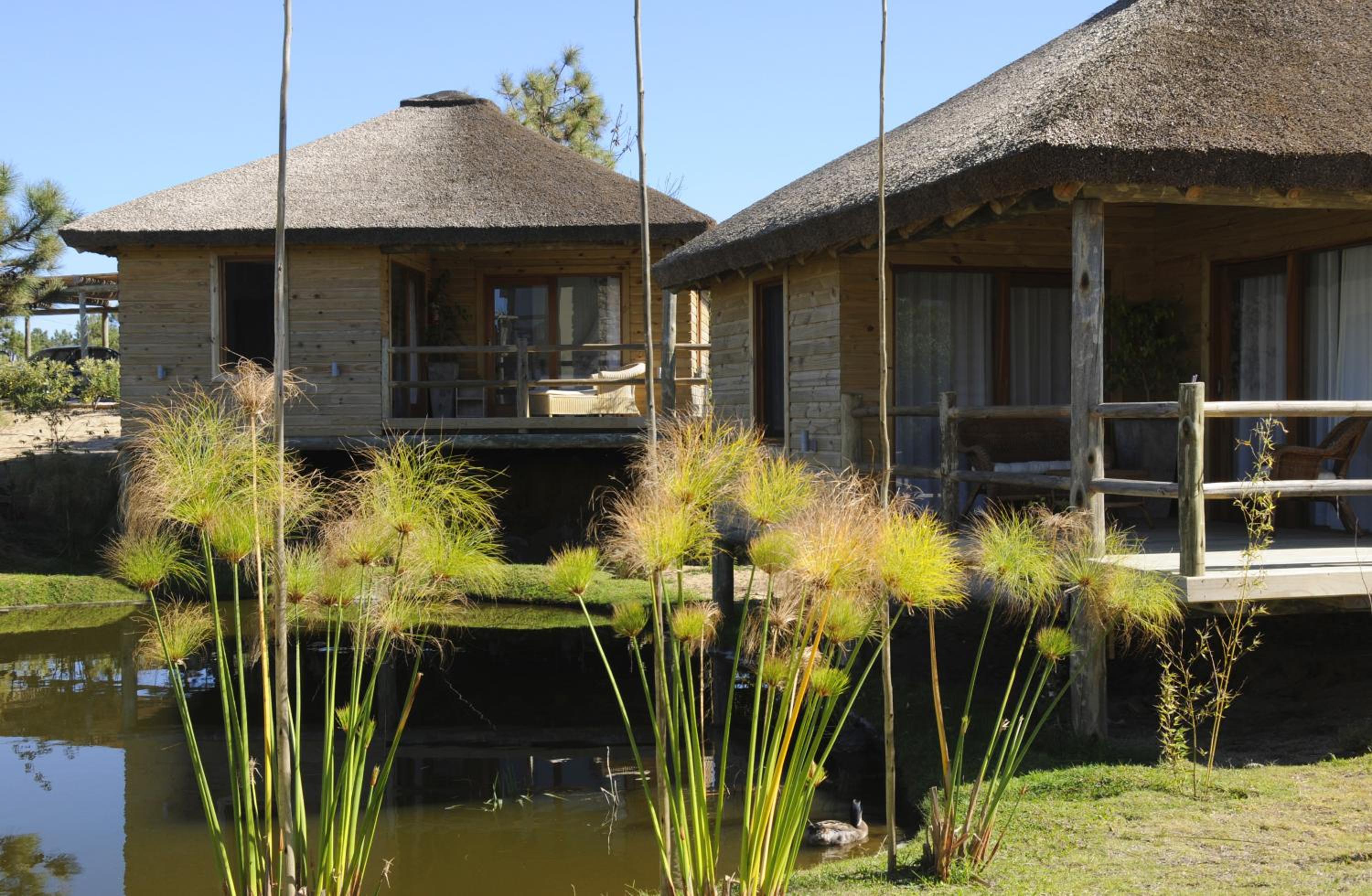 Bungalow (2 Adults) - Photo 4