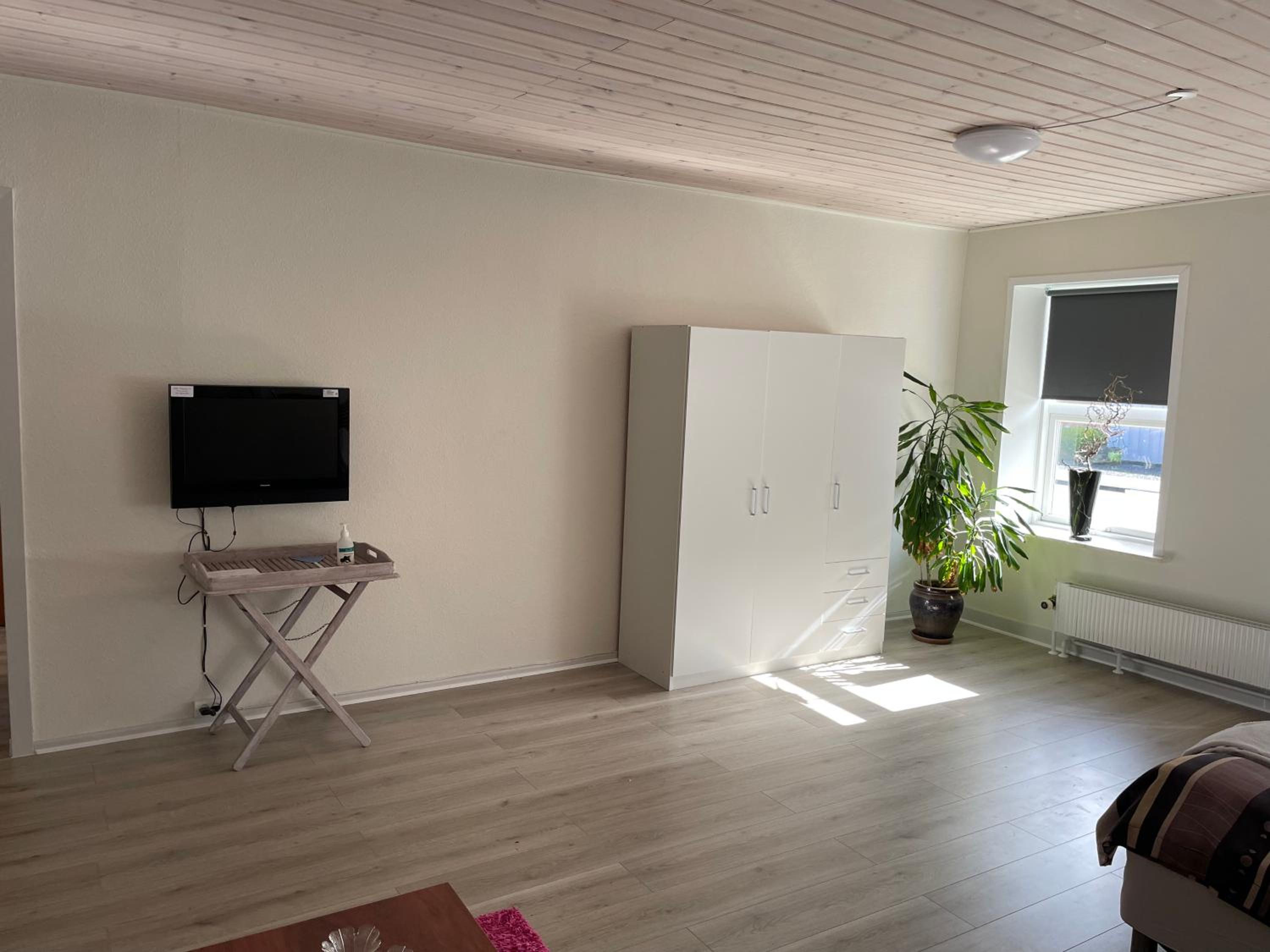 One-Bedroom Apartment photo 3