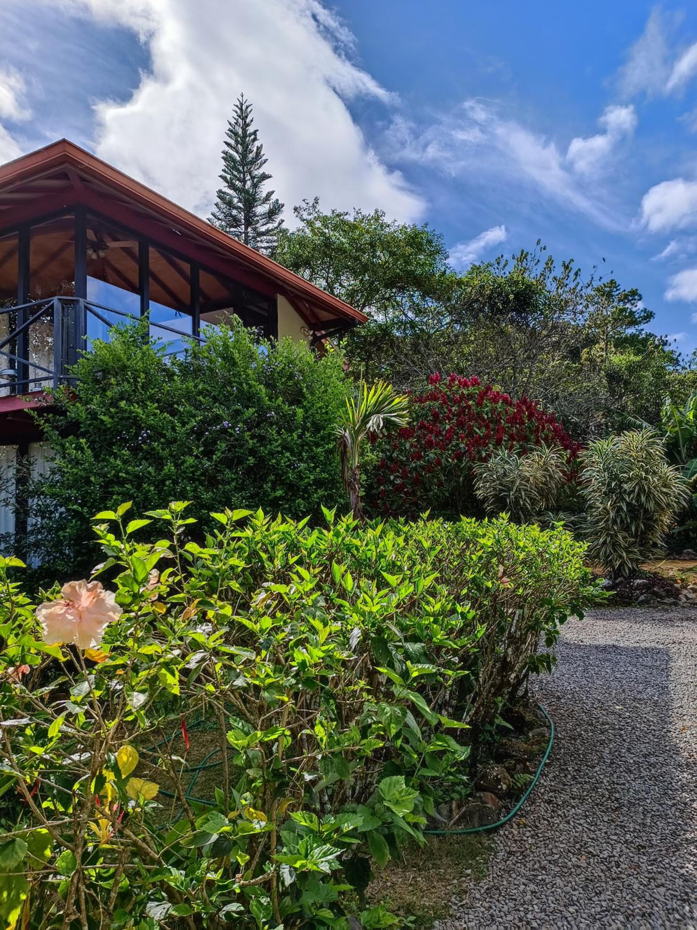 Double Room with Garden View photo 1