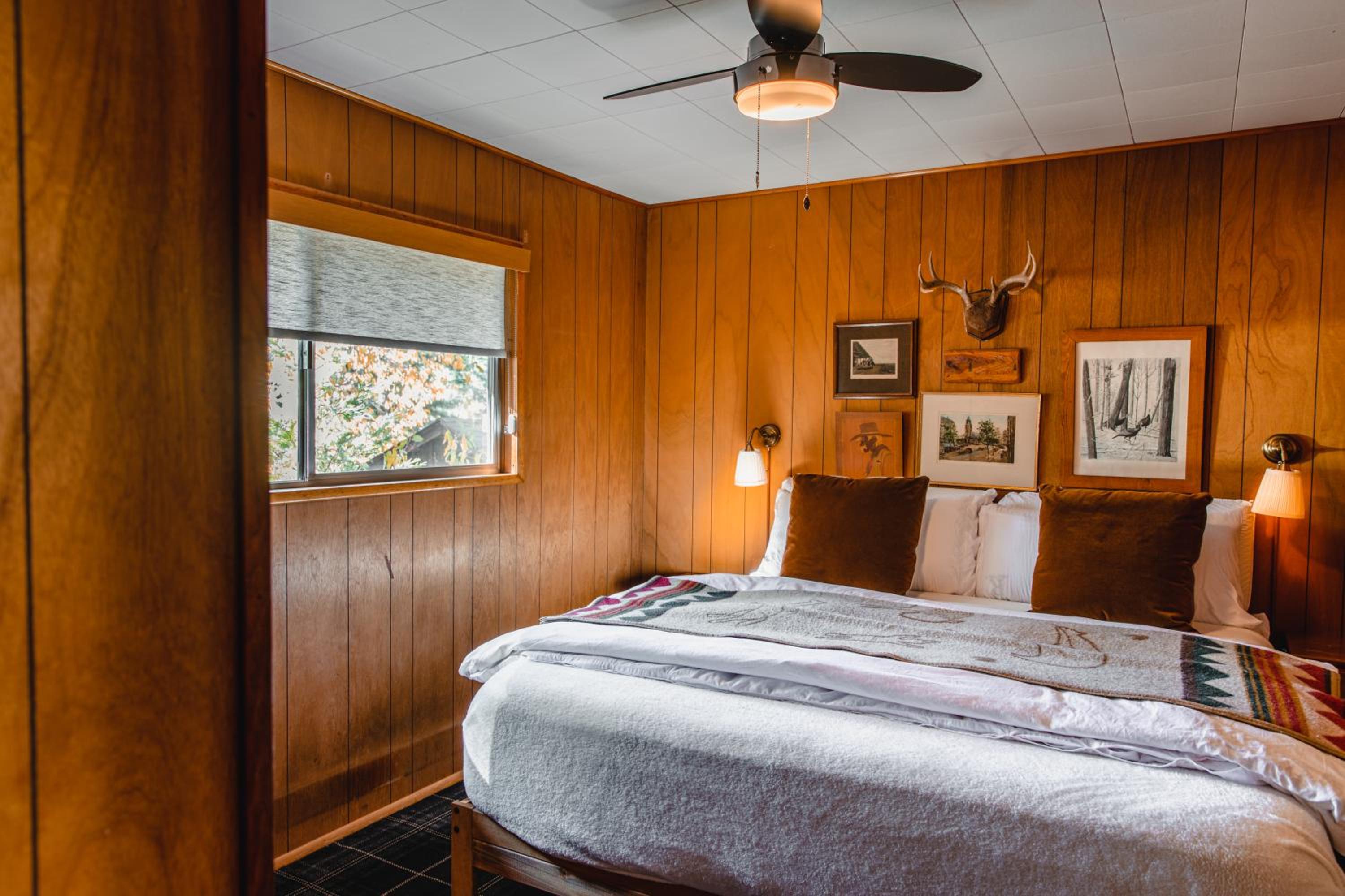 Large Double Room - Photo 1