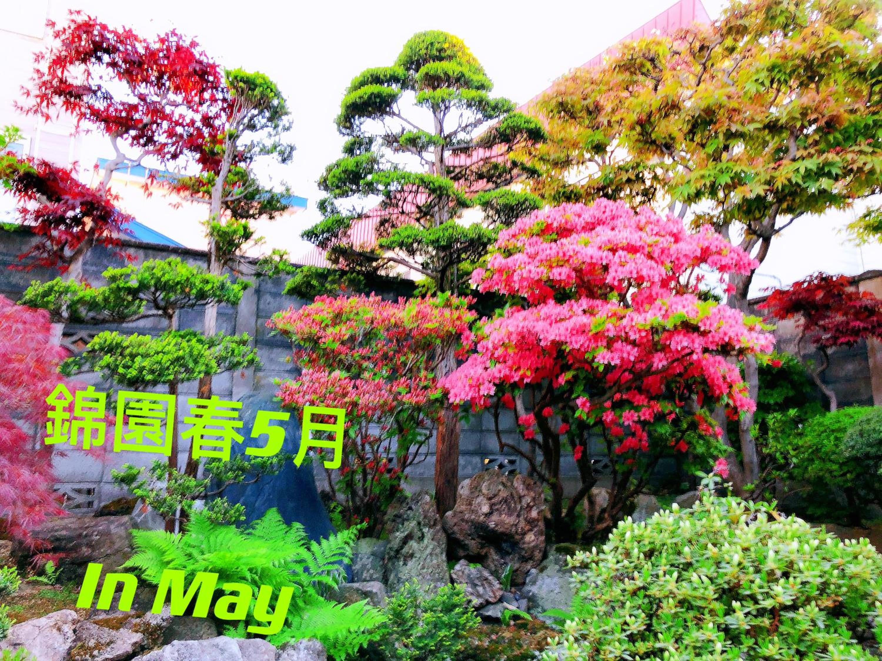Japanese Suite Room with Garden View photo 2