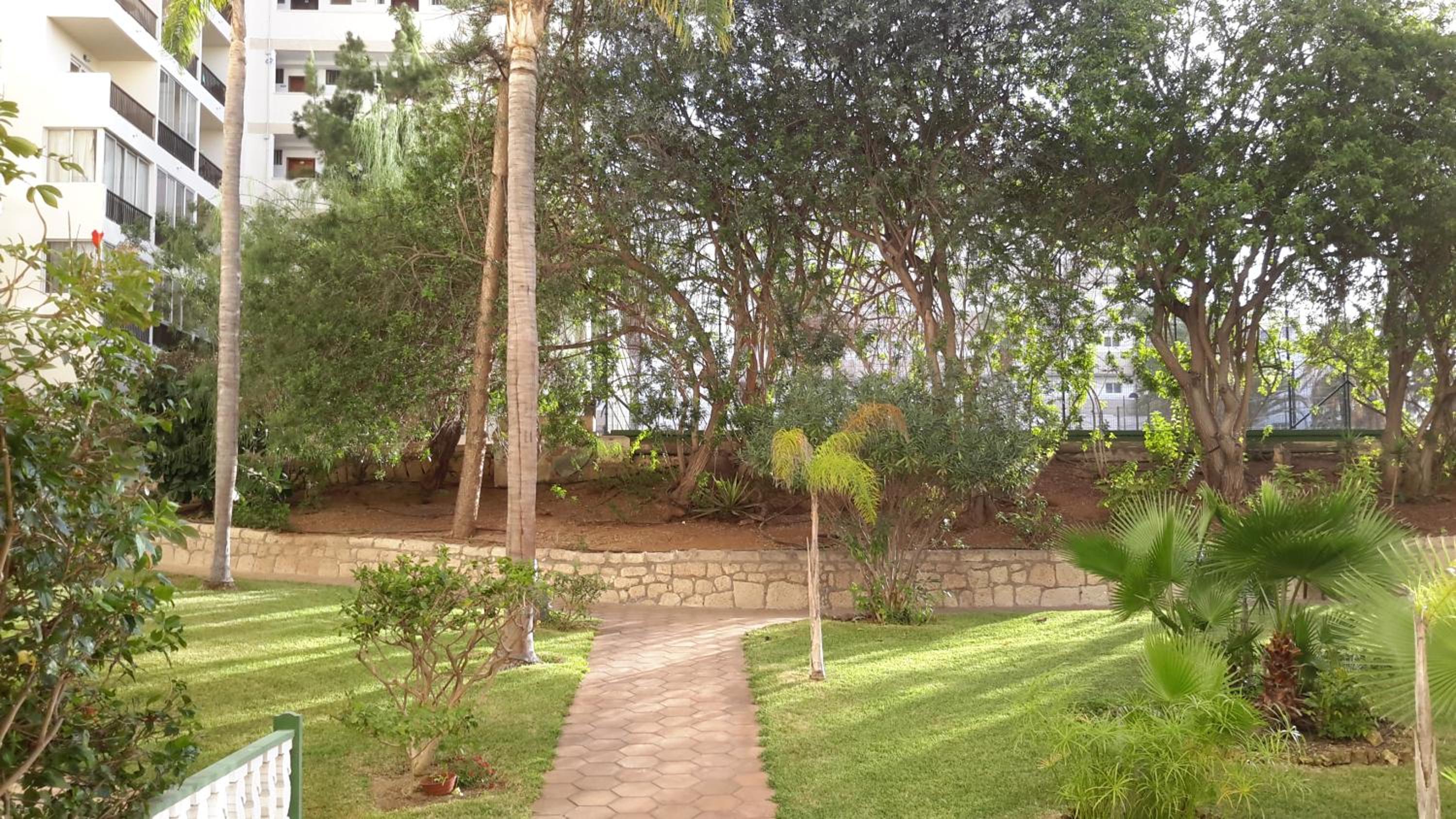 Apartment - Photo 34