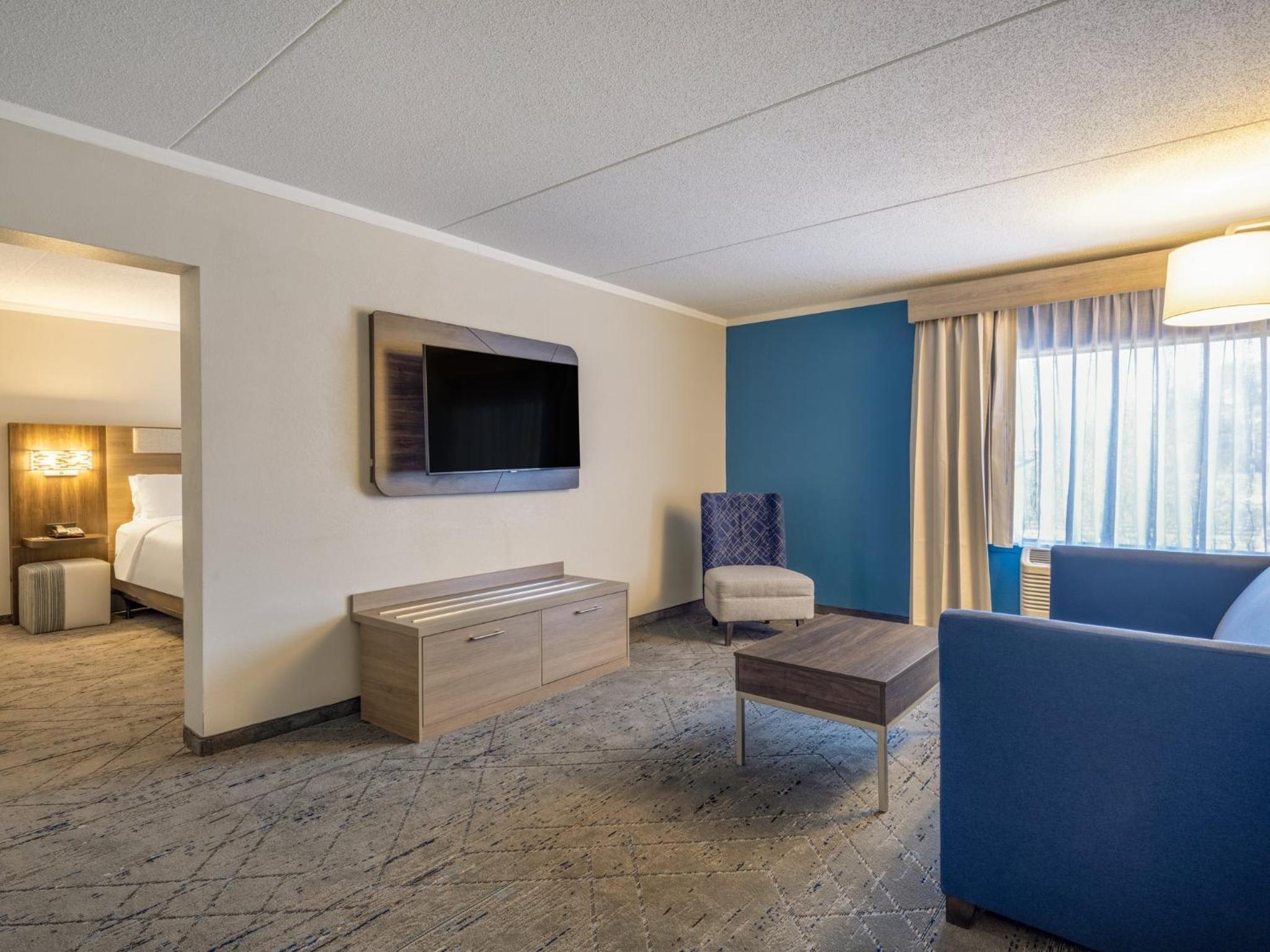 King Suite with Sofa Bed - Photo 4