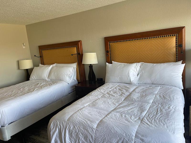 Queen Room - Photo 11