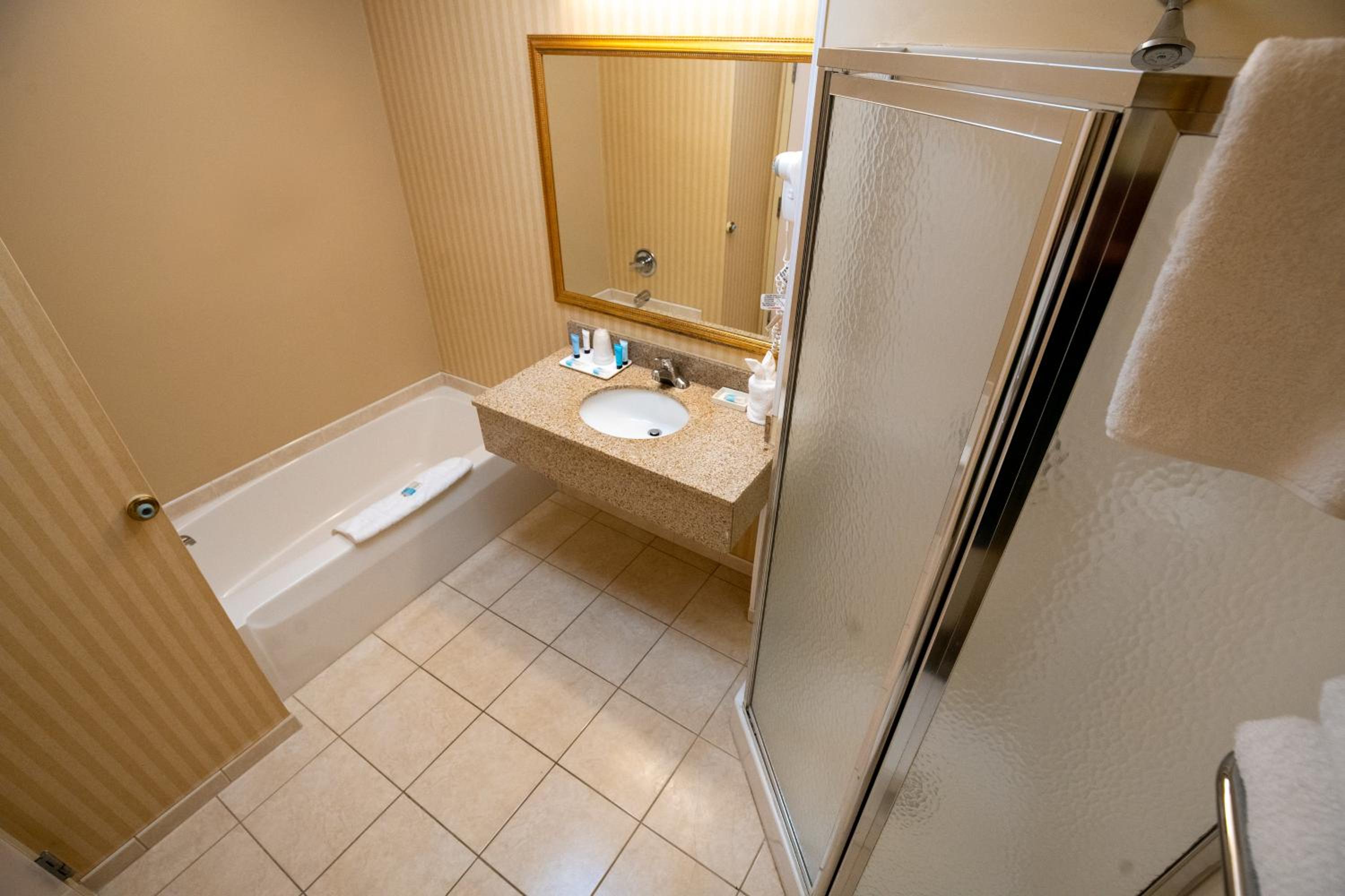 Grand King Room with Mountain View photo 3