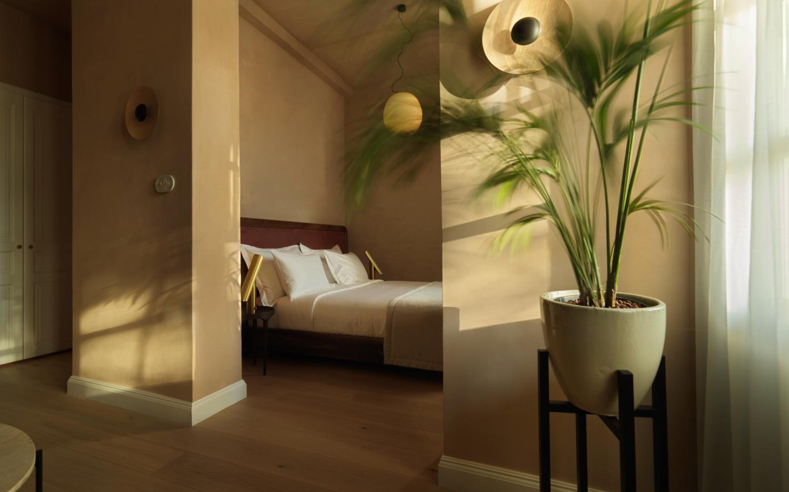 Suite Museo con Terraza
