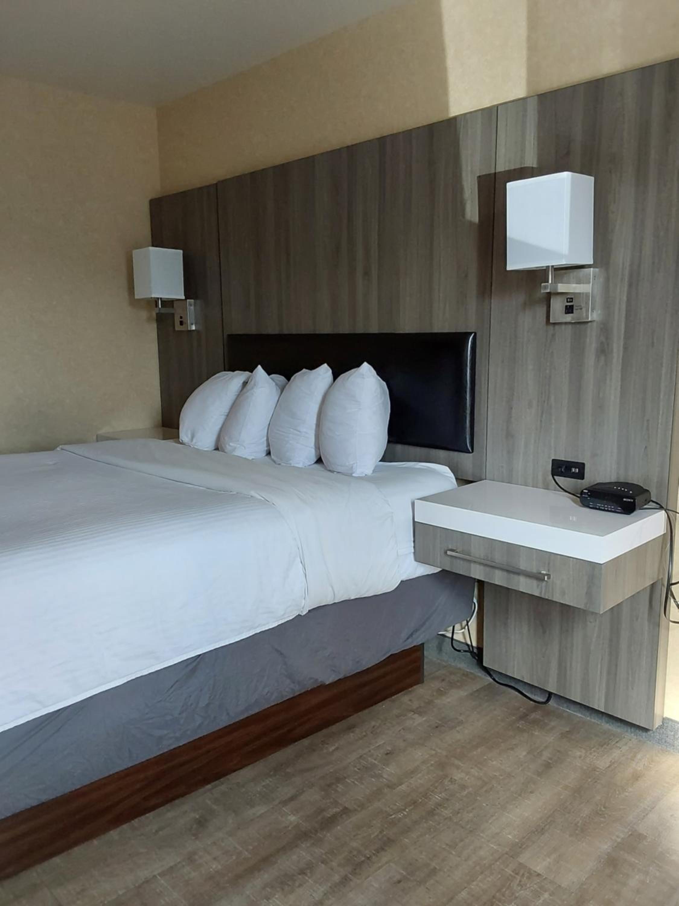 Queen Room - Photo 1