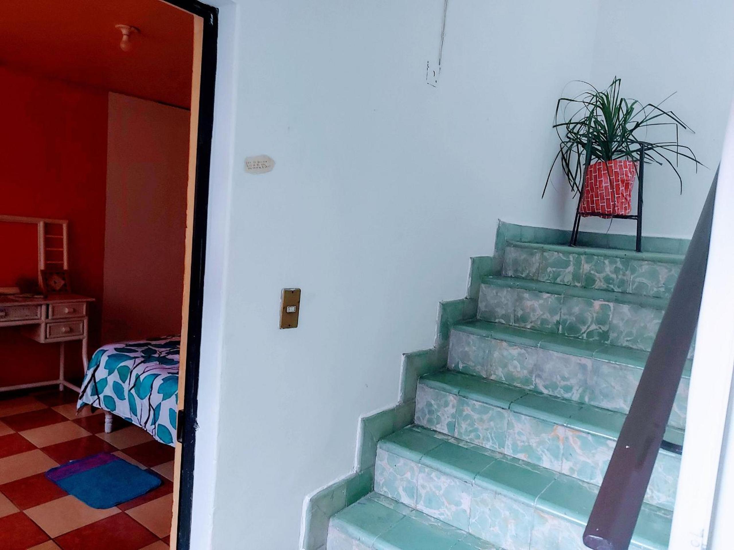 Twin Room - Photo 9