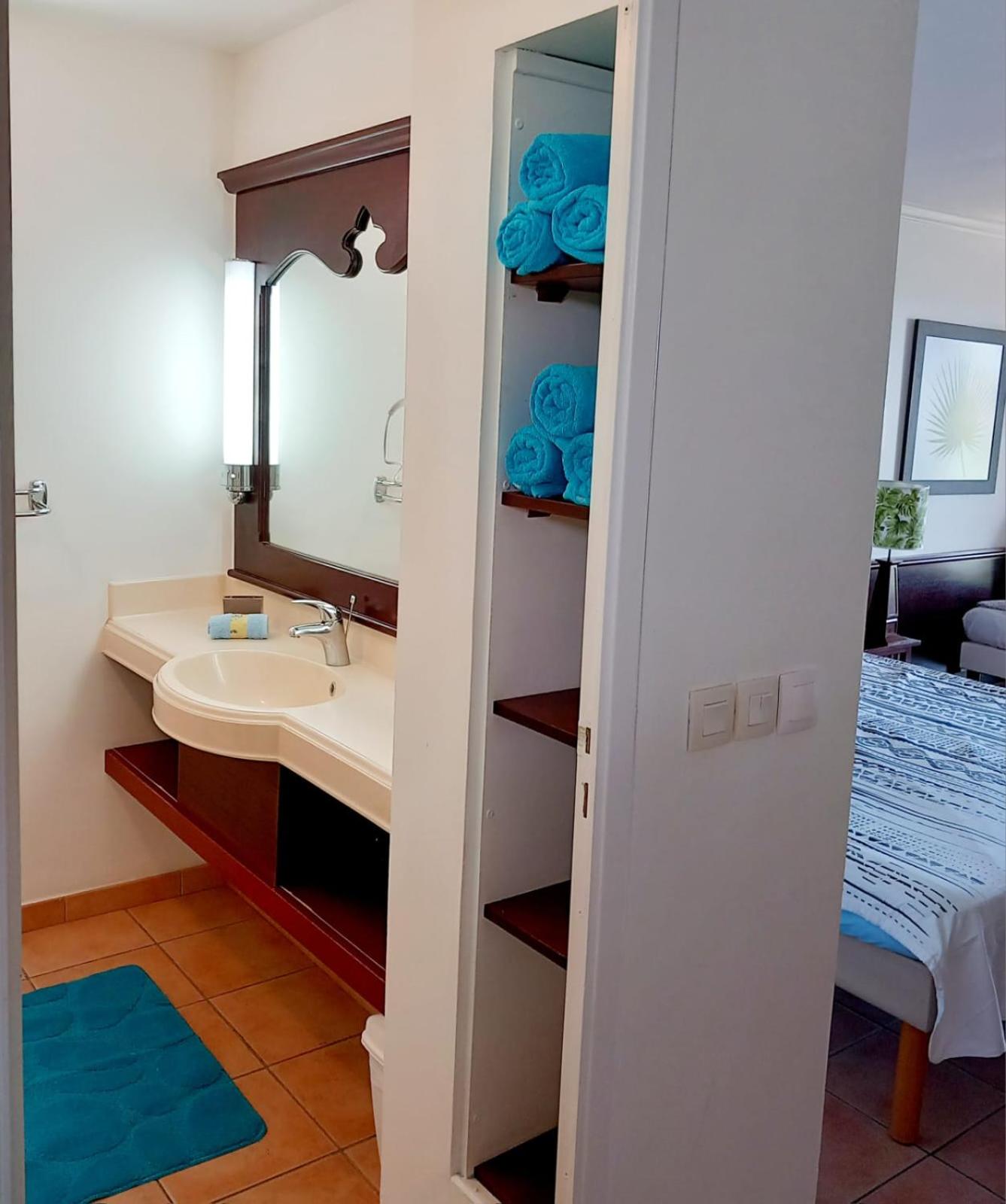 One-Bedroom Apartment photo 2