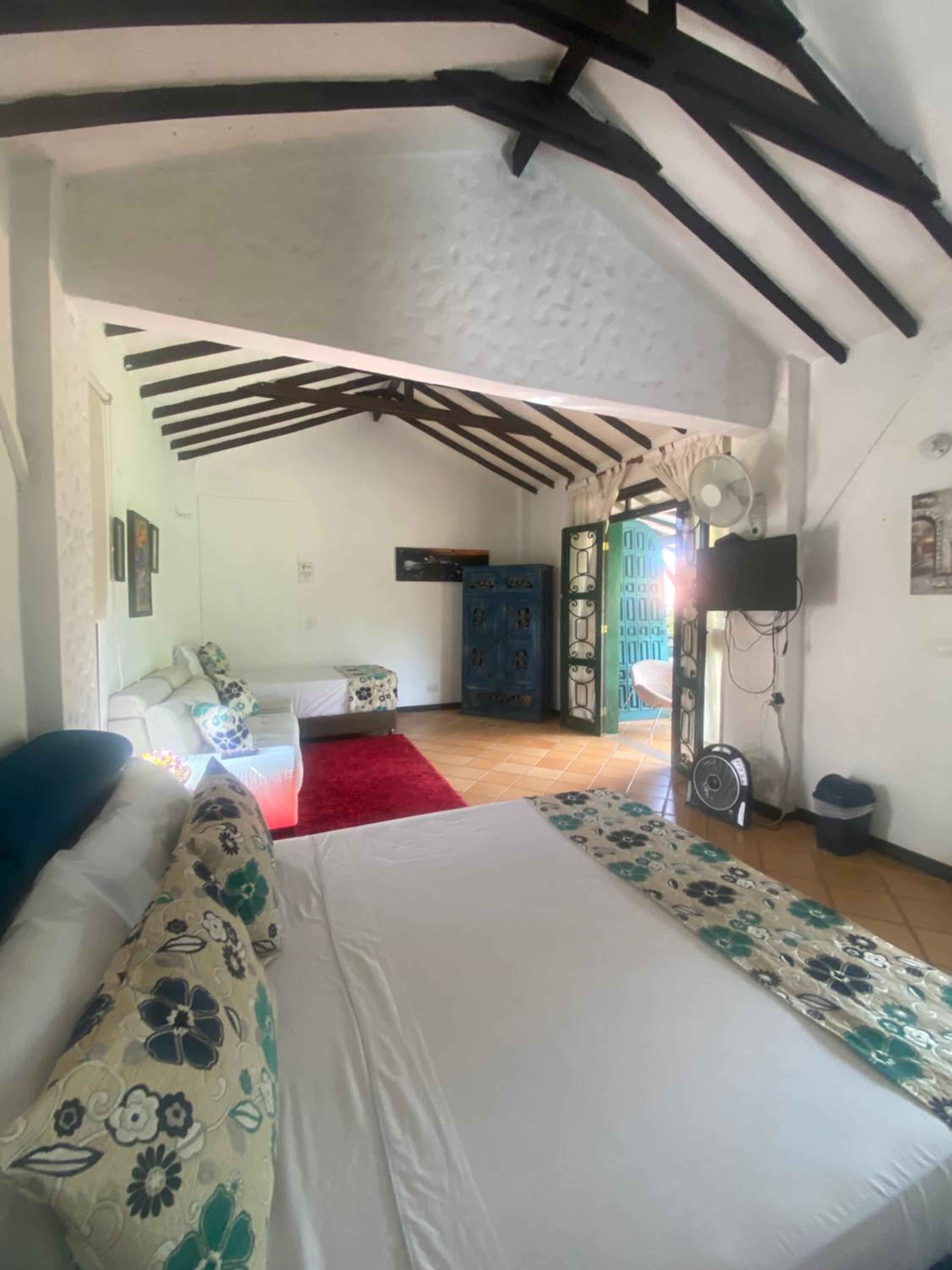 Junior Suite with Terrace