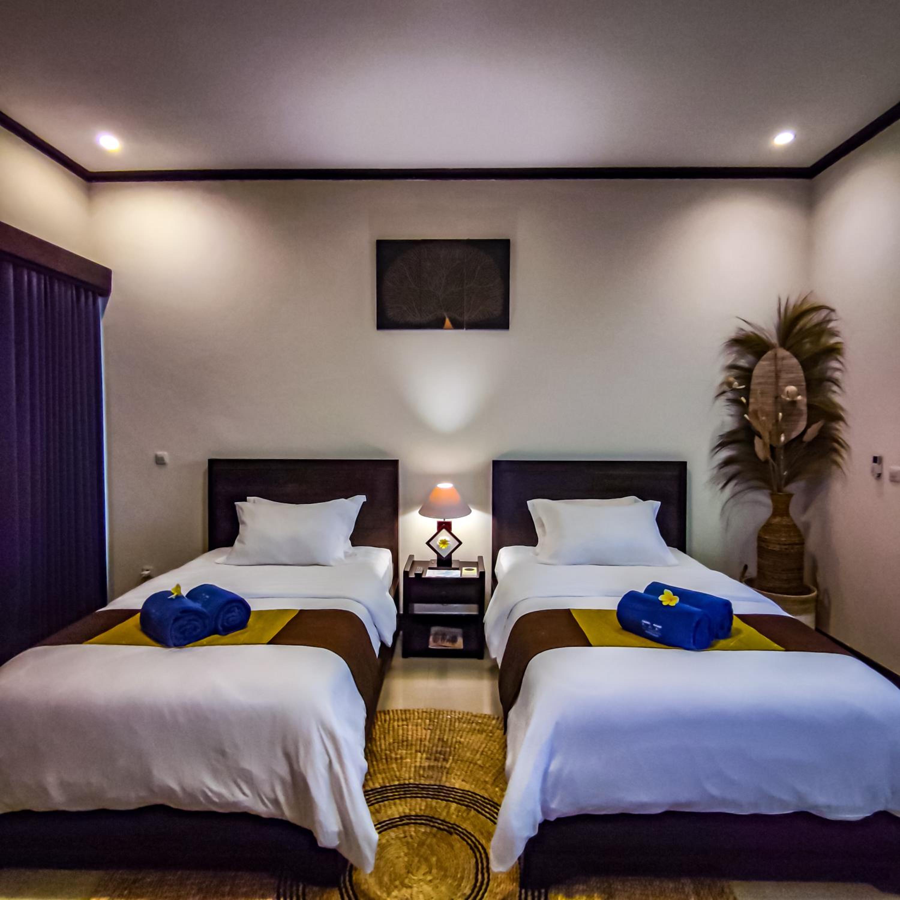 Deluxe Twin Room photo 2