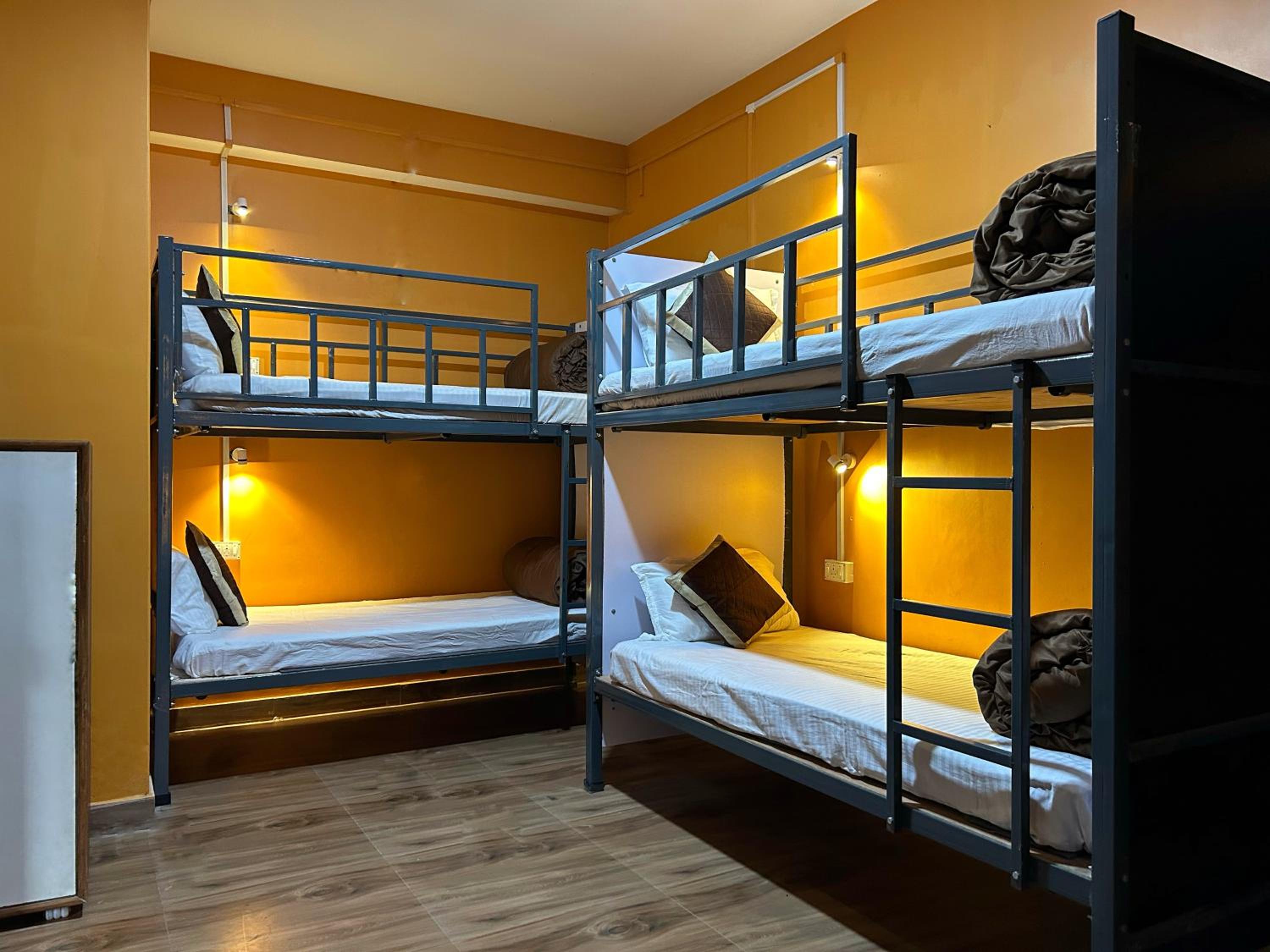 Bunk Bed in Mixed Dormitory Room photo 1