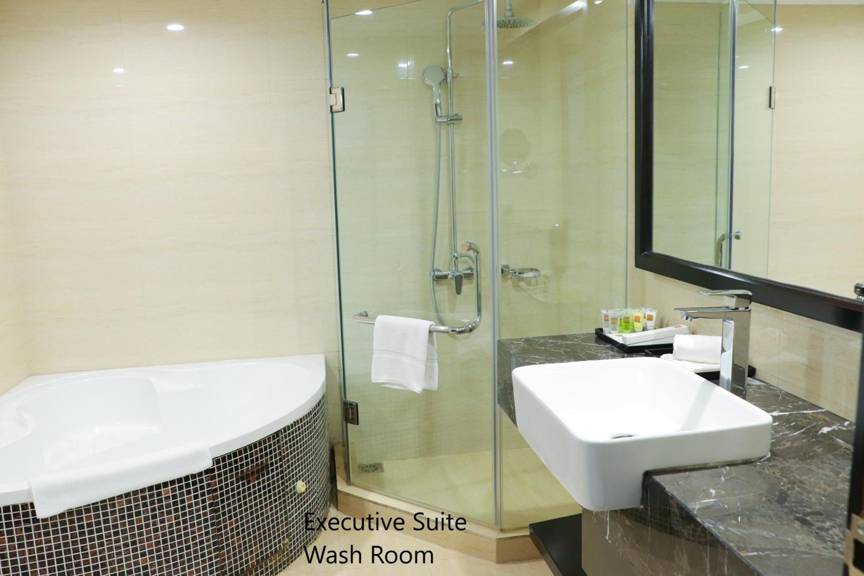 Executive Club Suite (Access to the Club Lounge for guests aged 18 or above) - Photo 4