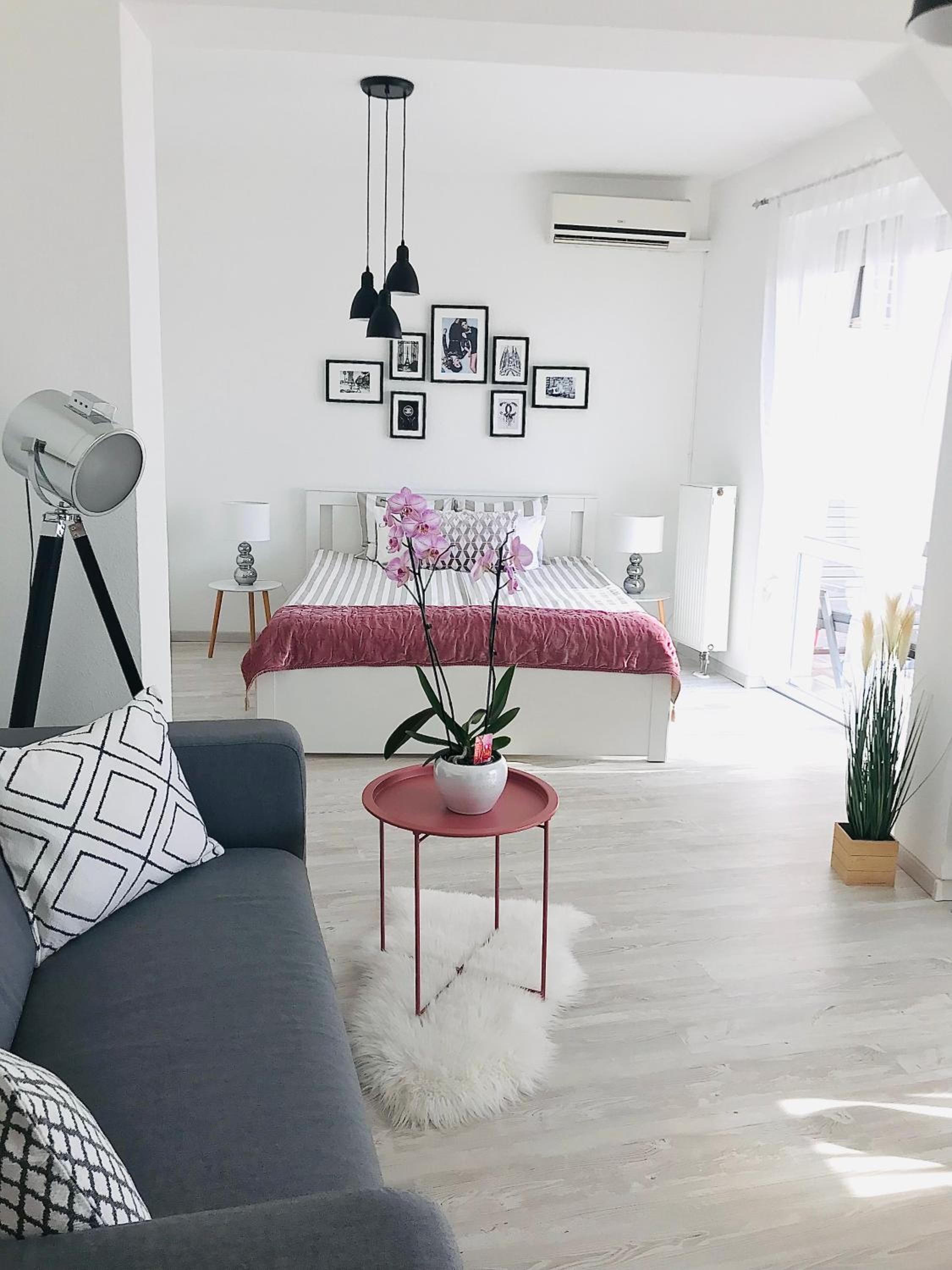 Studio Apartment photo 1