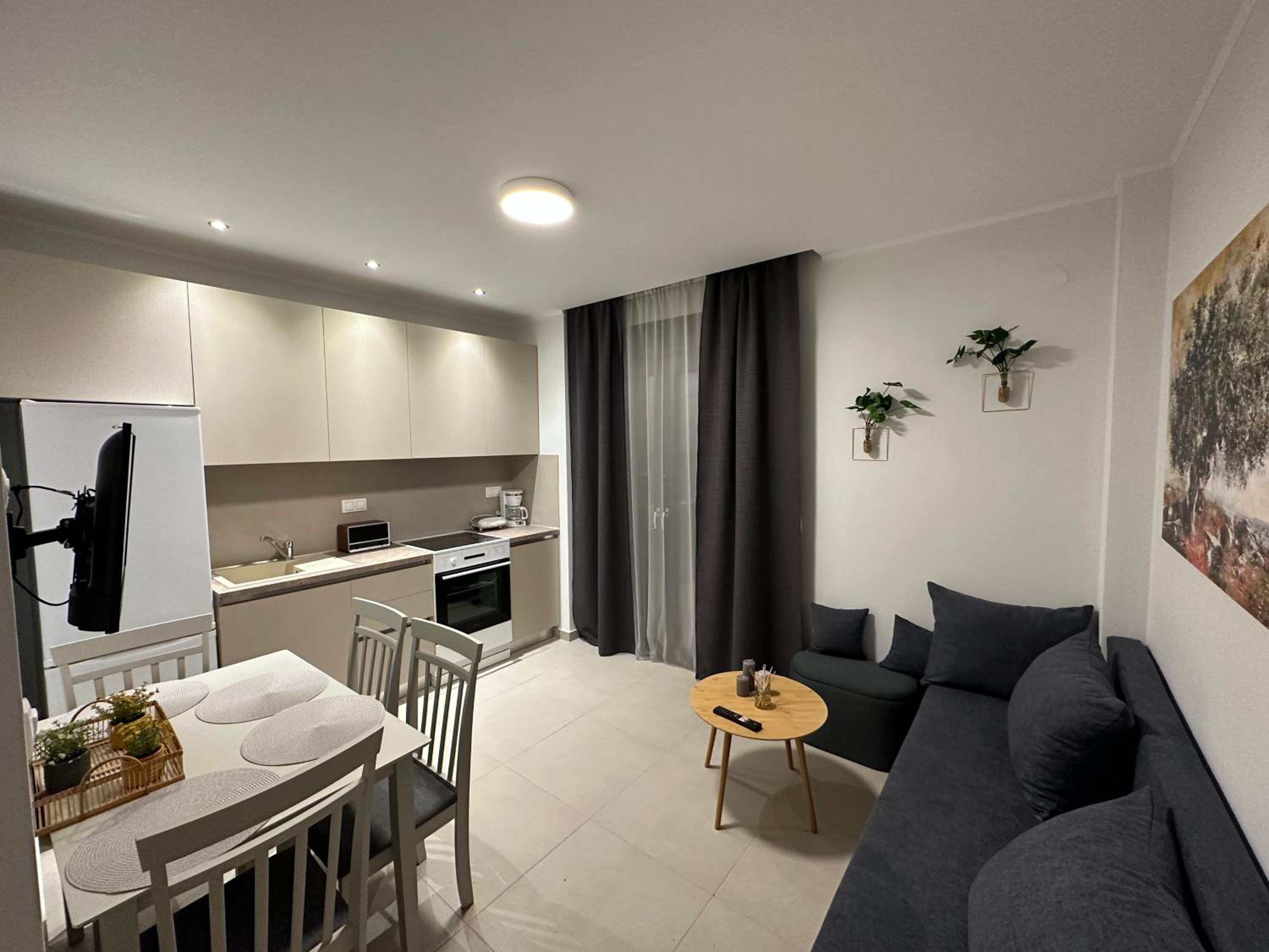 One-Bedroom Apartment photo 2