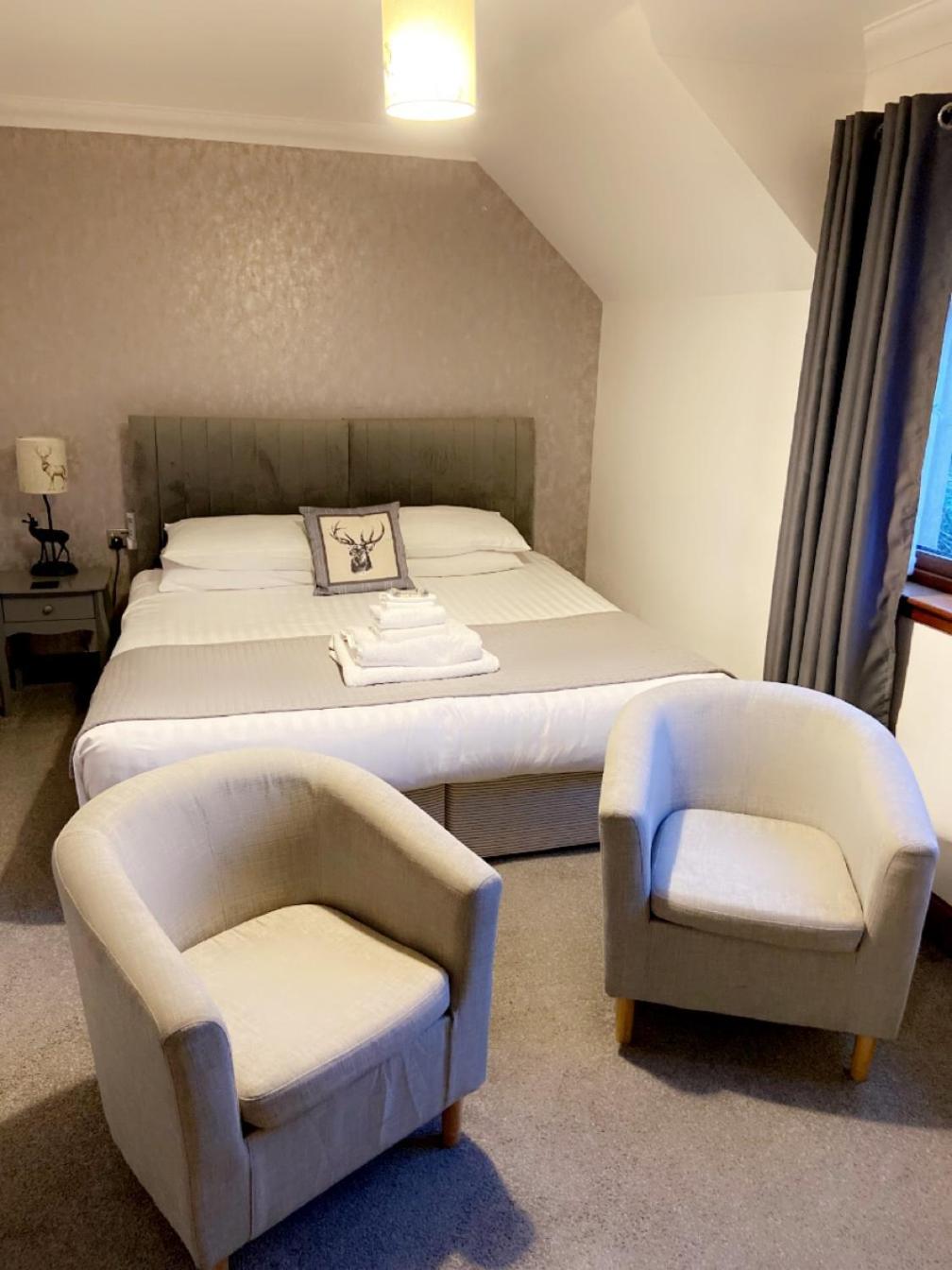 Deluxe King Suite photo 3