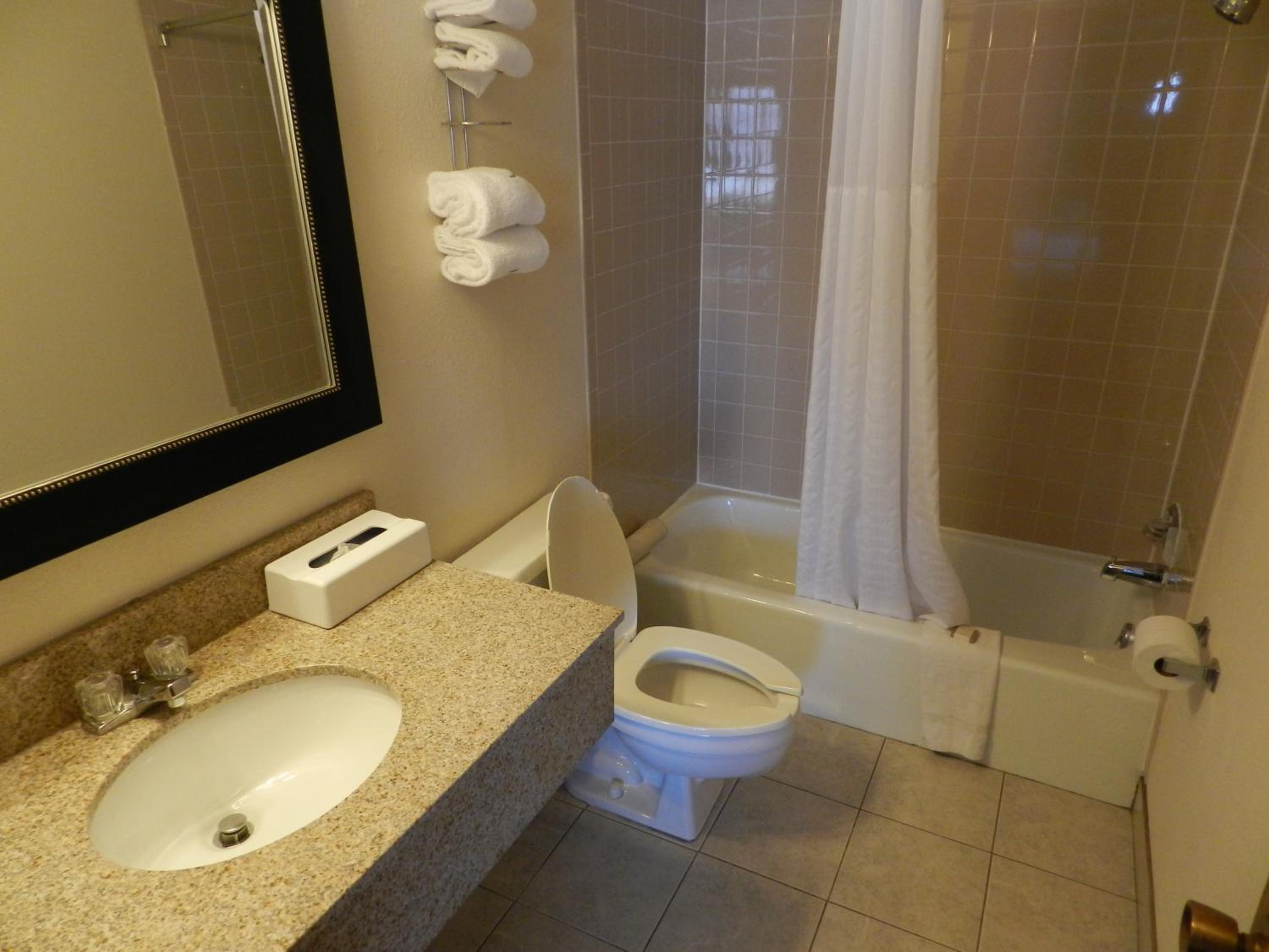 King Studio Suite - Non-Smoking - Photo 5