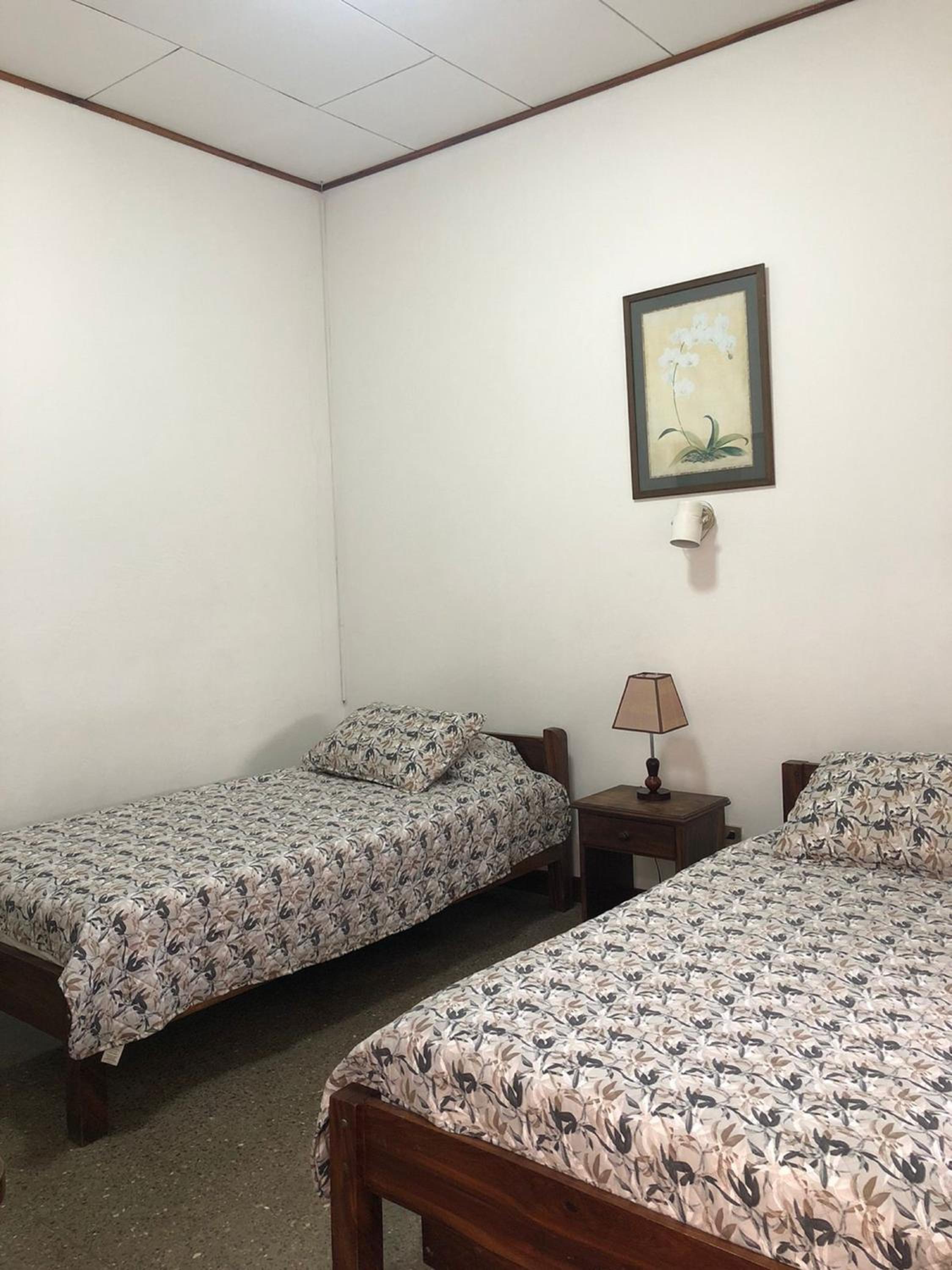Twin Room photo 3