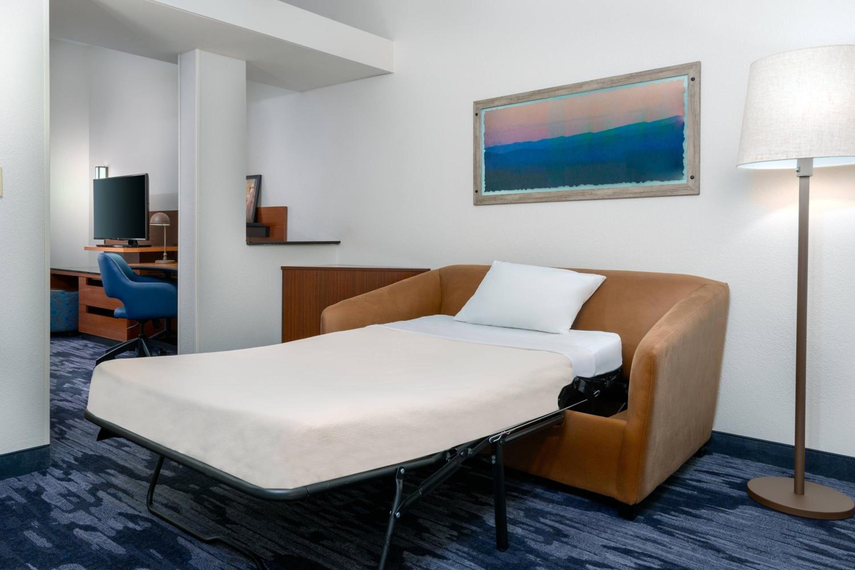 King Suite with Sofa Bed - Photo 4