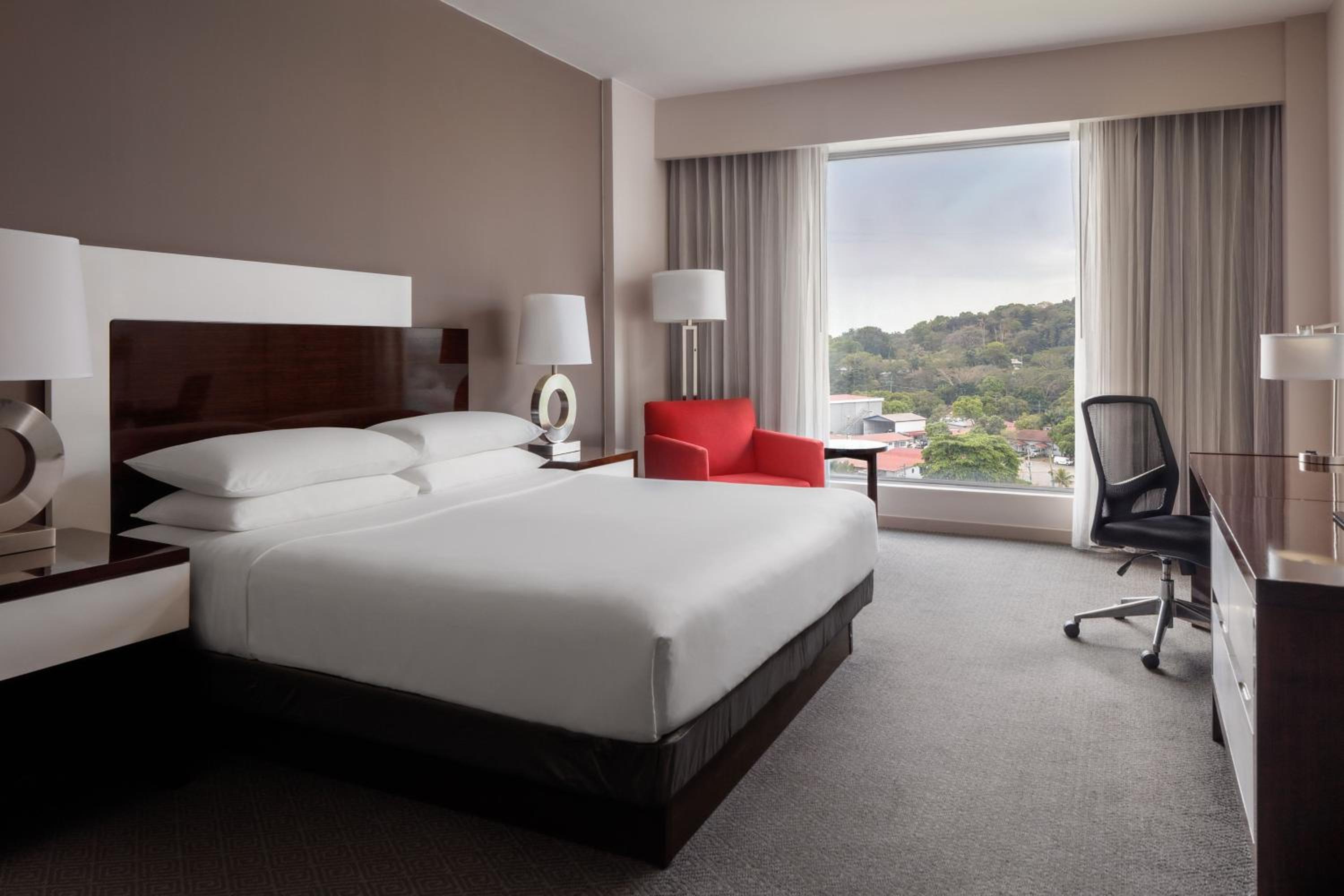 Deluxe King Room with City View - Photo 1